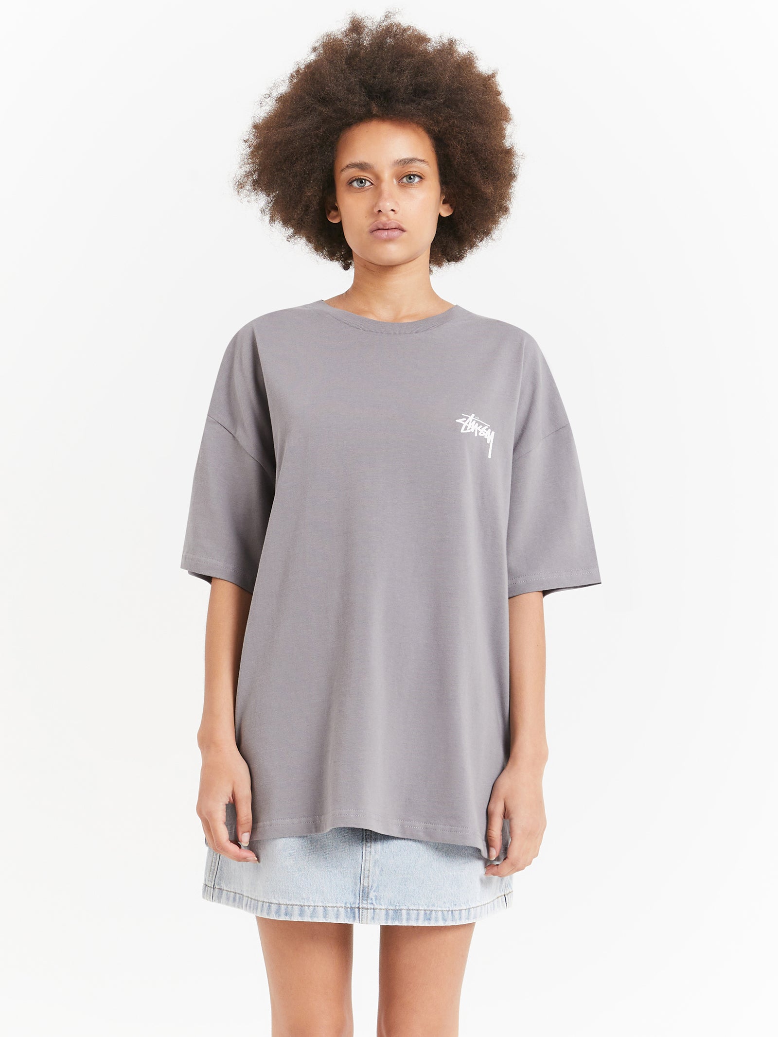 Pair Of Dice Heavyweight Relaxed T-Shirt in Grey