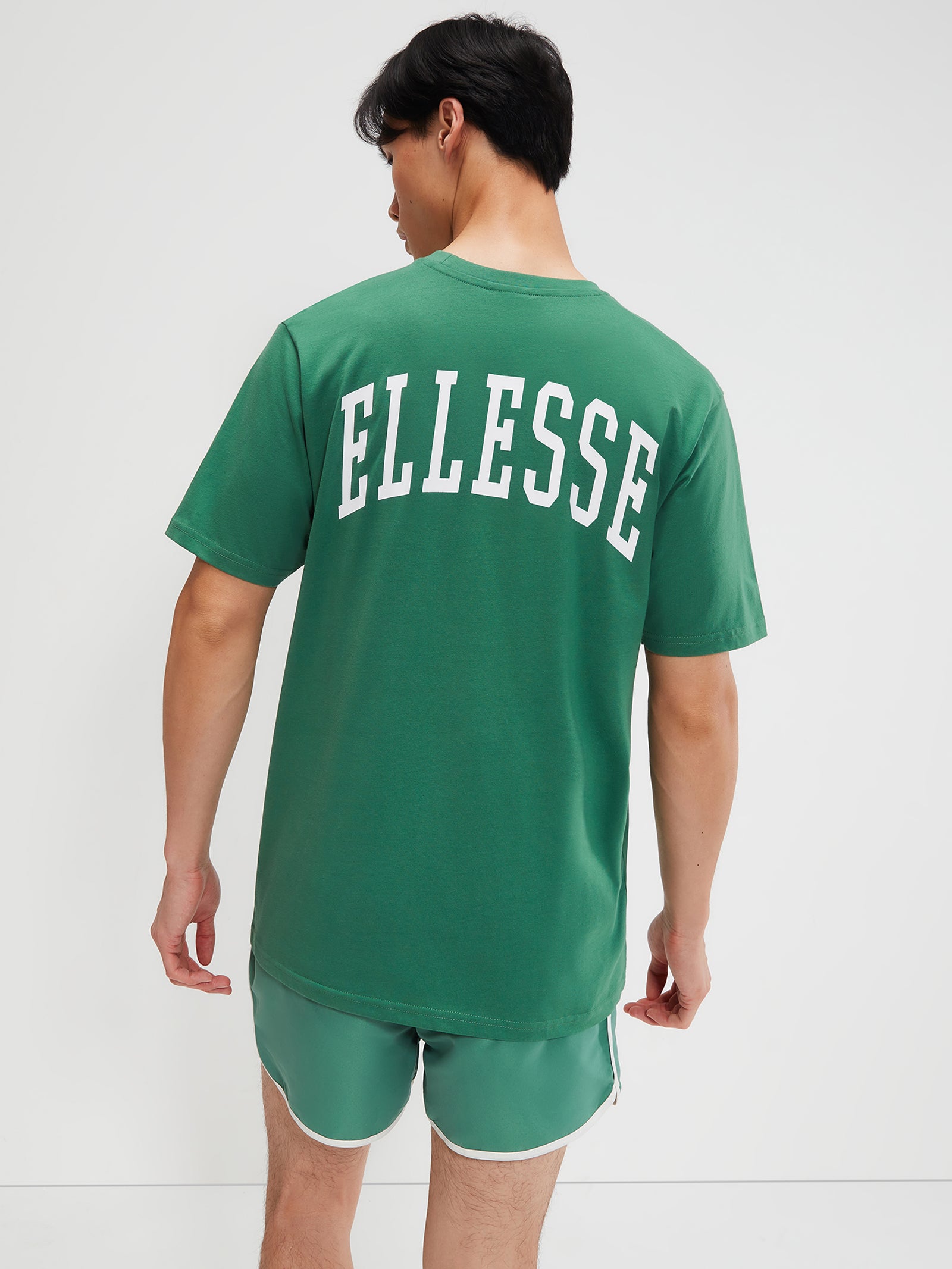 Harvardo T-Shirt In Green