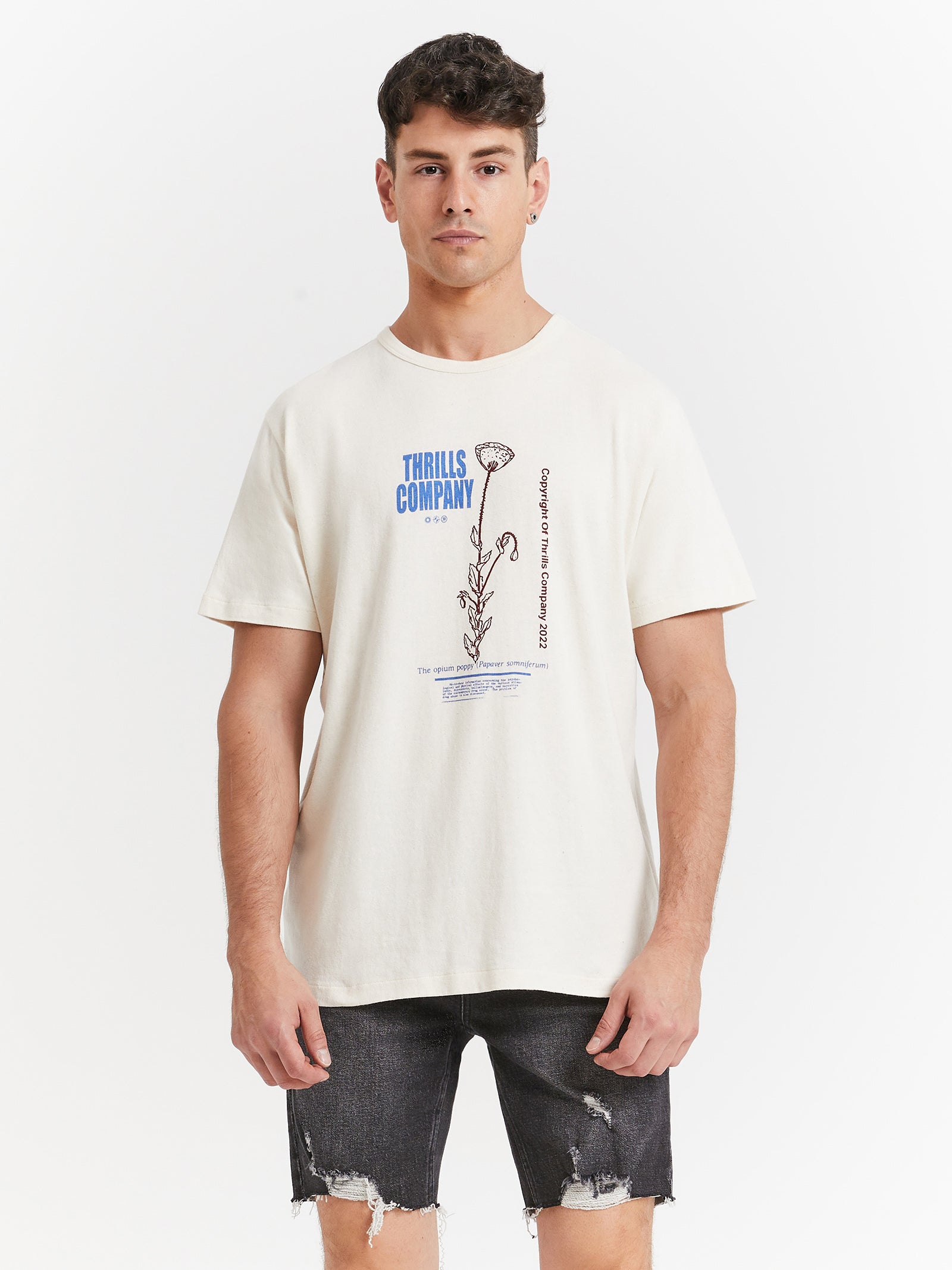 Hemp Natural Effects Merch Fit T-Shirt in Unbleached