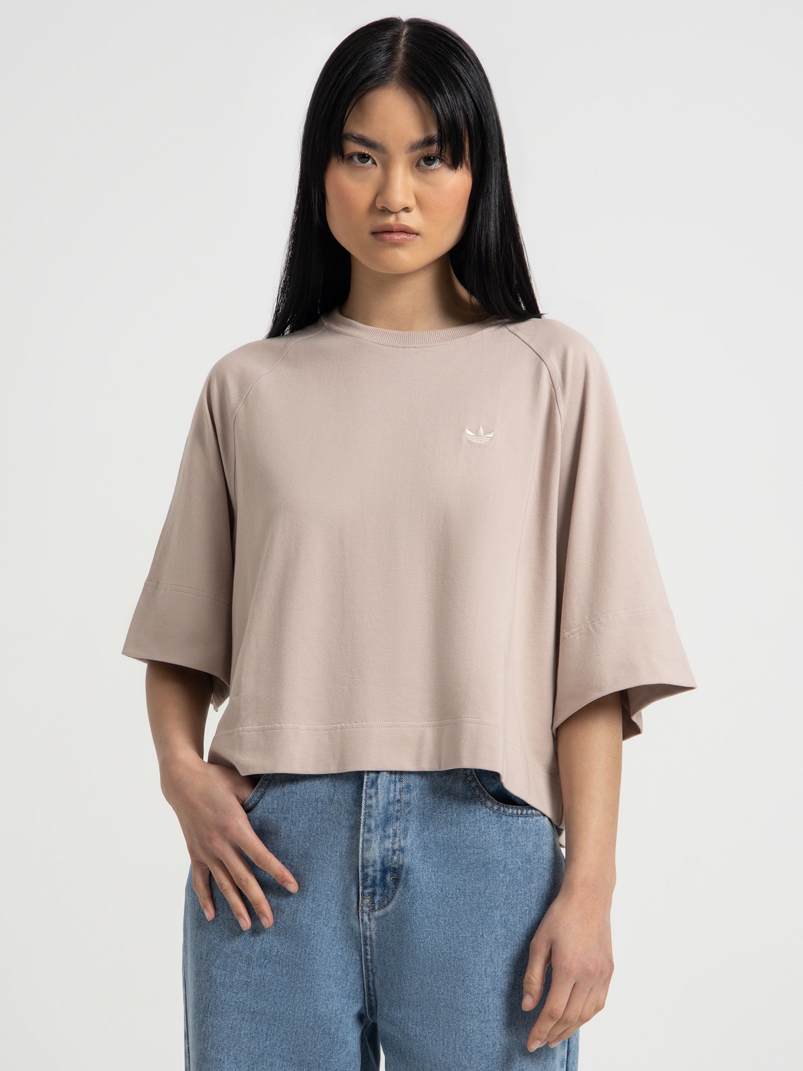 Premium Essentials T-Shirt in Wonder Taupe