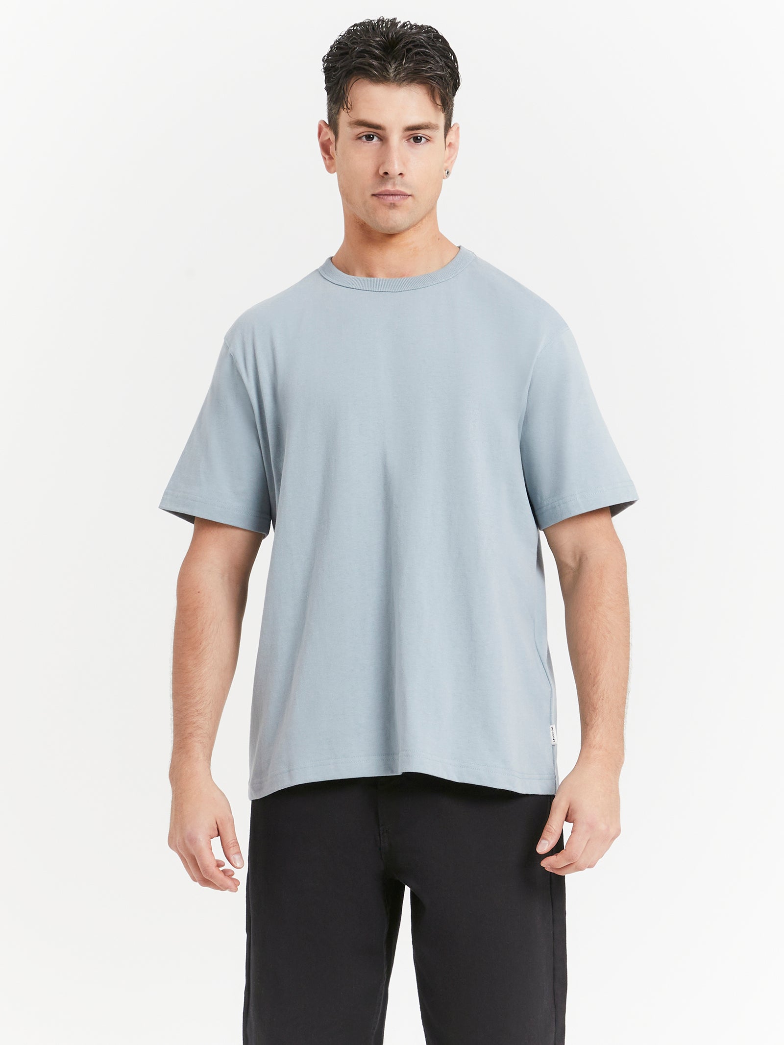 Heavyweight Crew T-Shirt in Frost