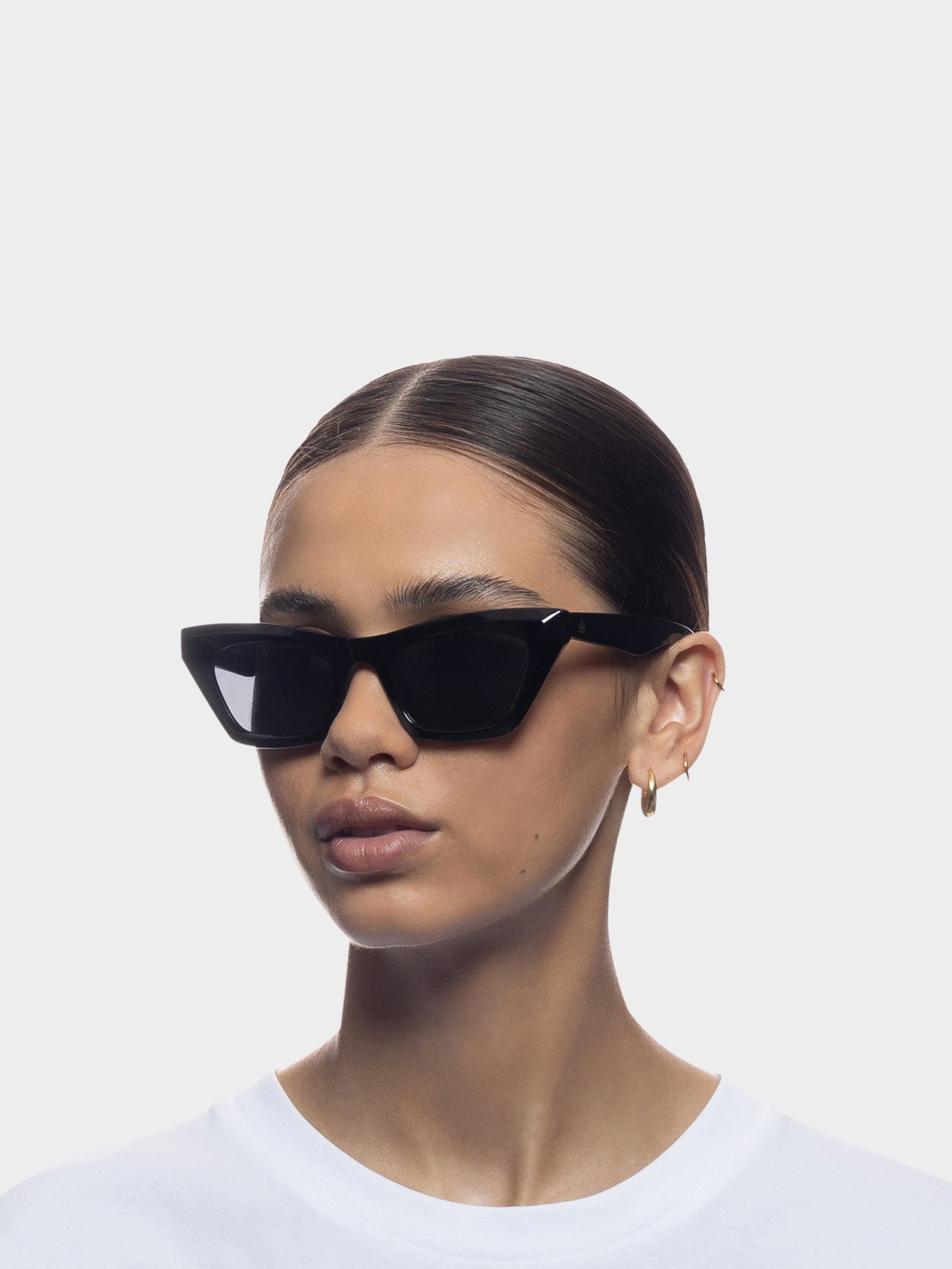 Capricornus Sunglasses in Black Smoke Mono