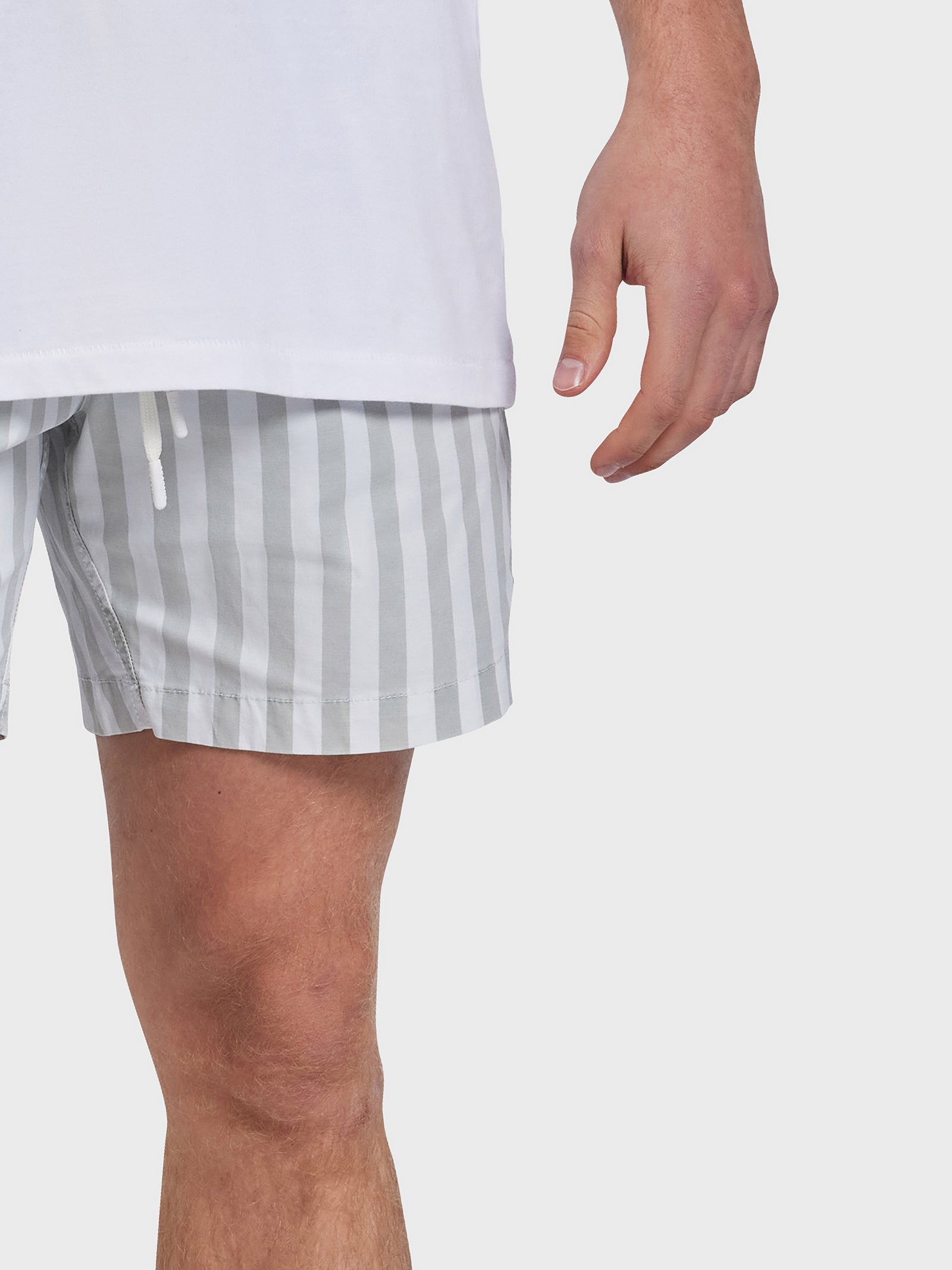 Teamster Stripe Board Shorts in Sage Green Stripe