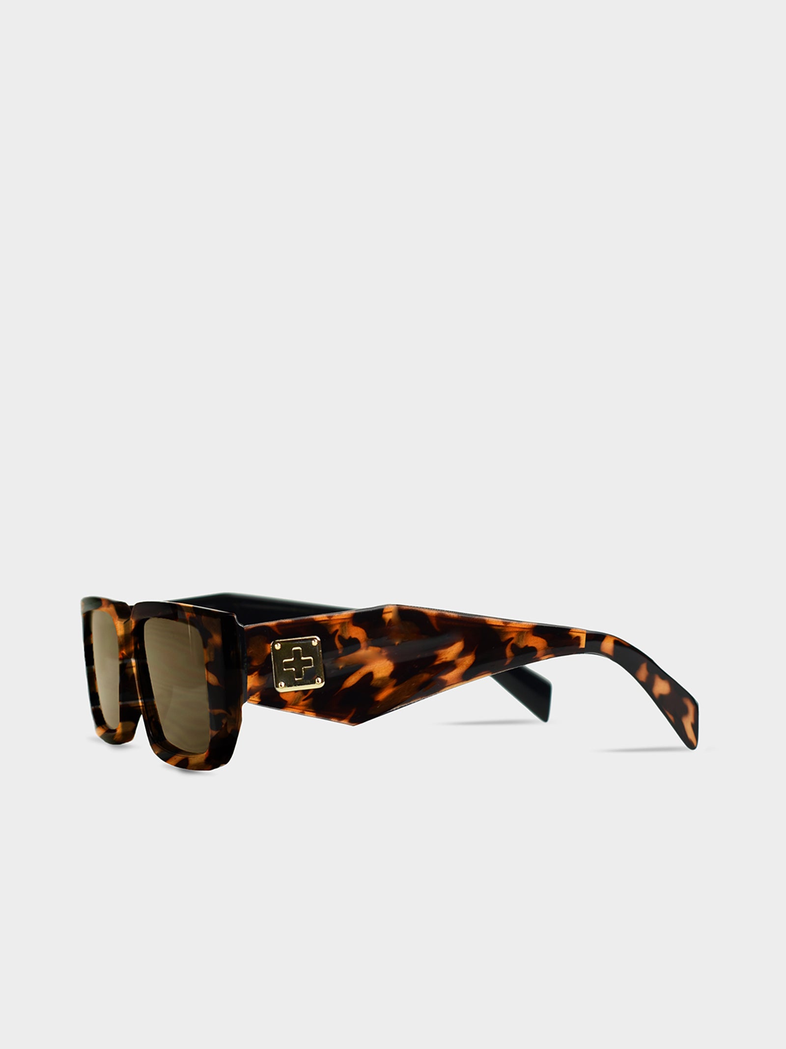 Evans Sunglasses in Tort Brown