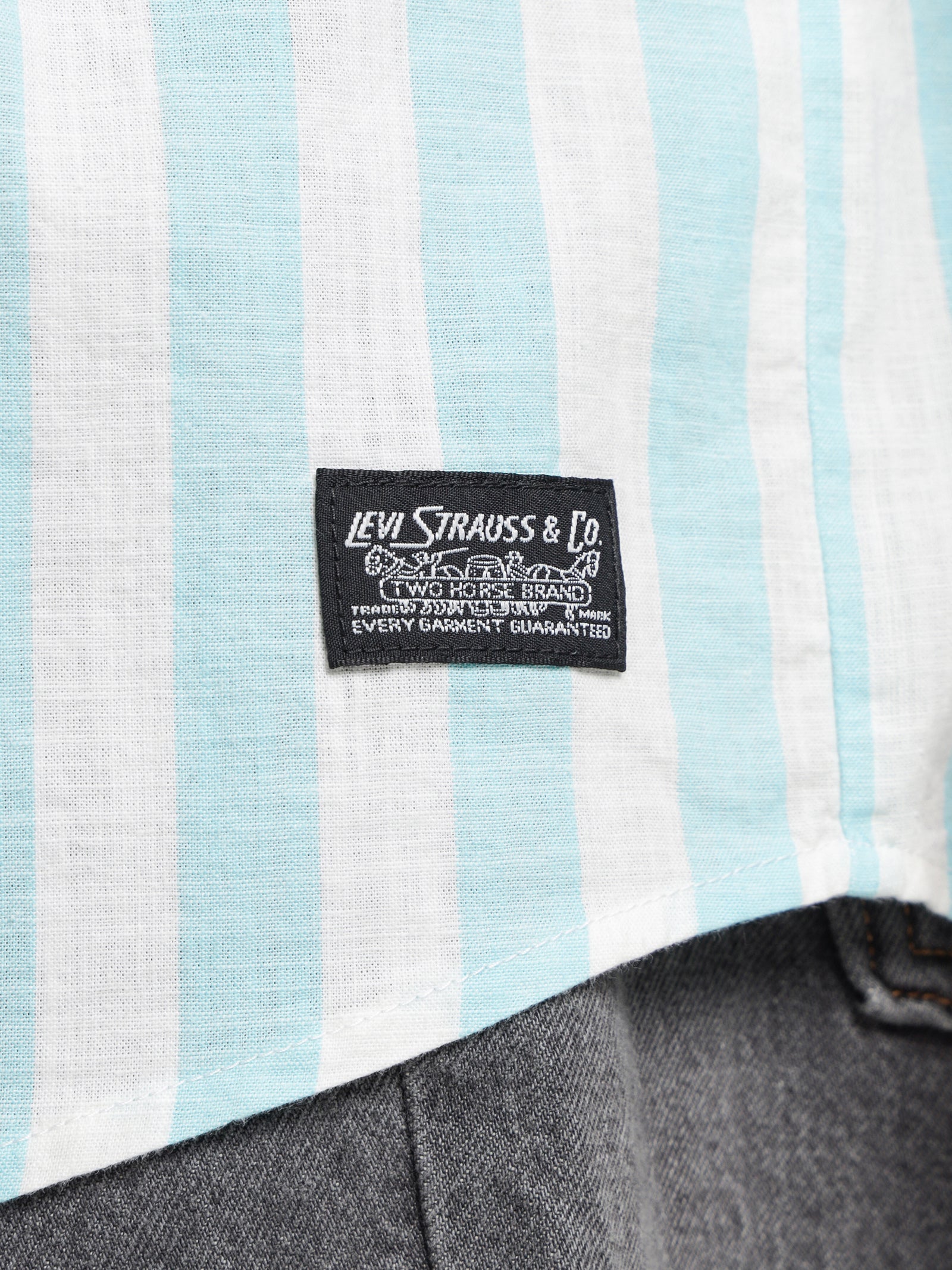 Skate Short Sleeve Woven Shirt in Blue & White