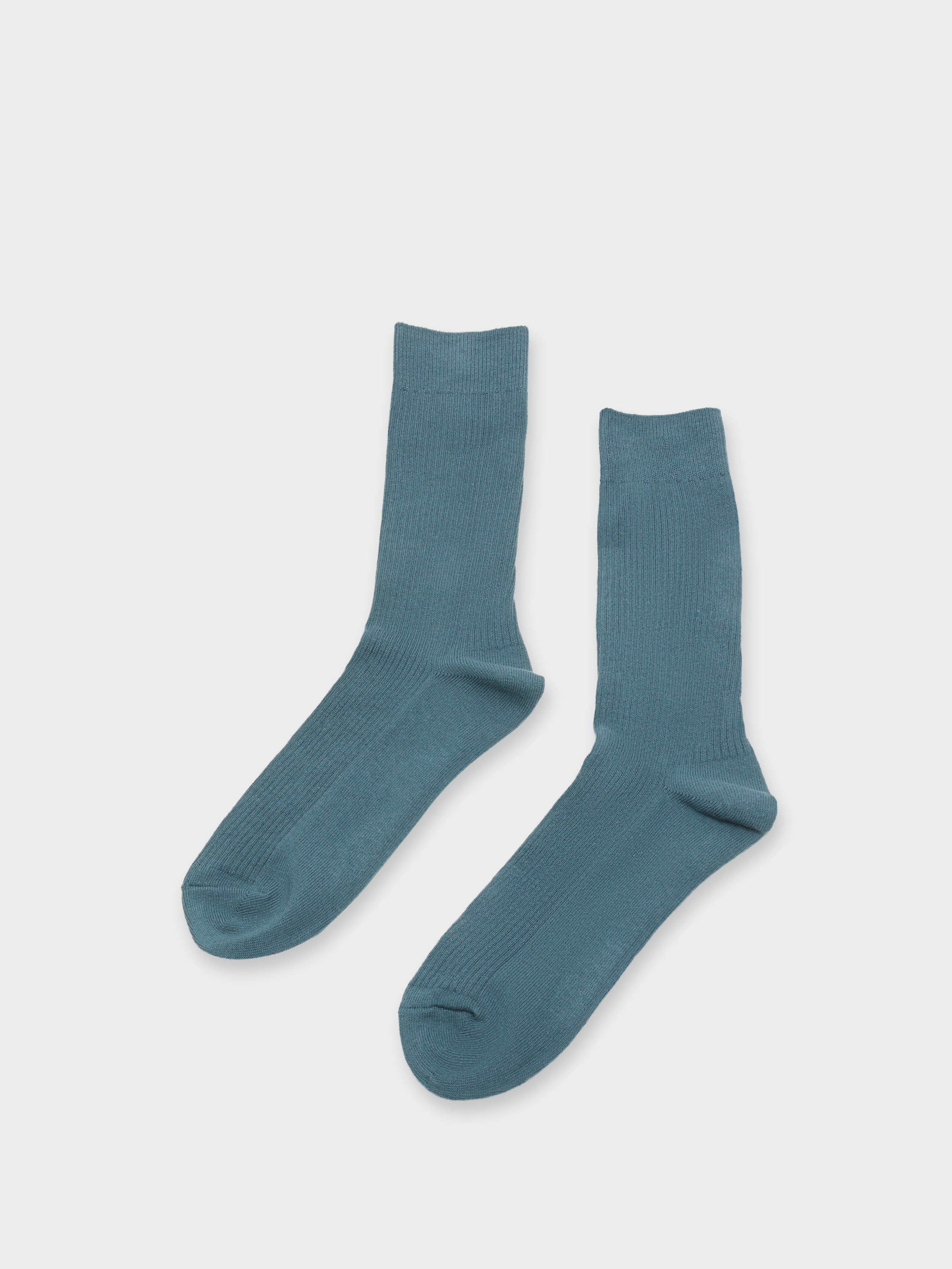 1 Pair of Everyday Socks