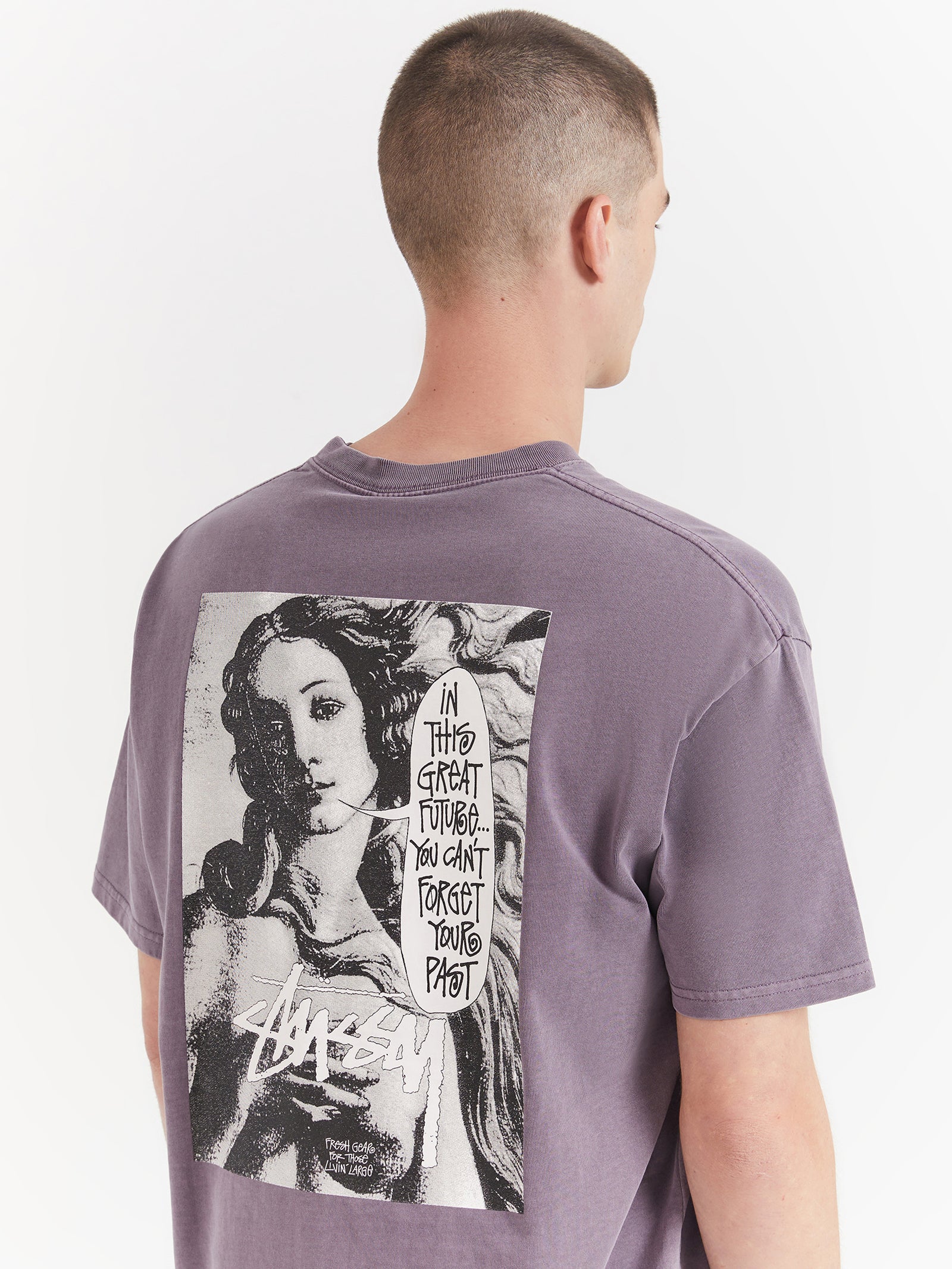 Great Future Heavyweight T-Shirt in Pigment Mauve