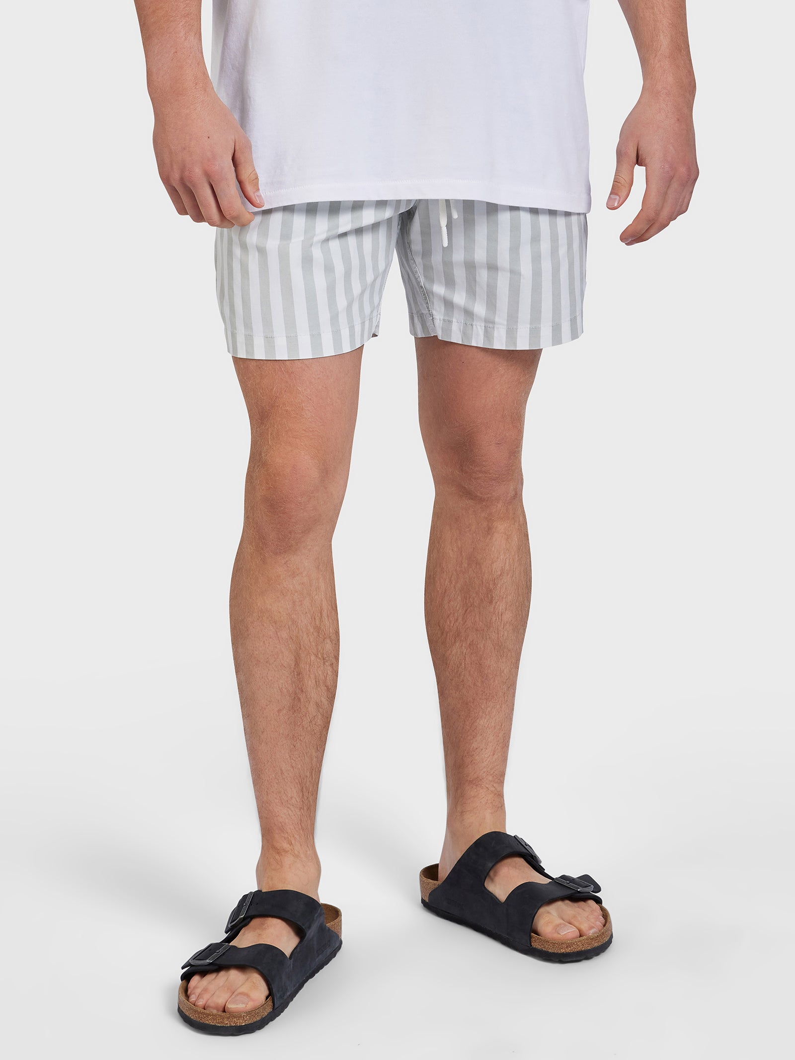 Teamster Stripe Board Shorts in Sage Green Stripe