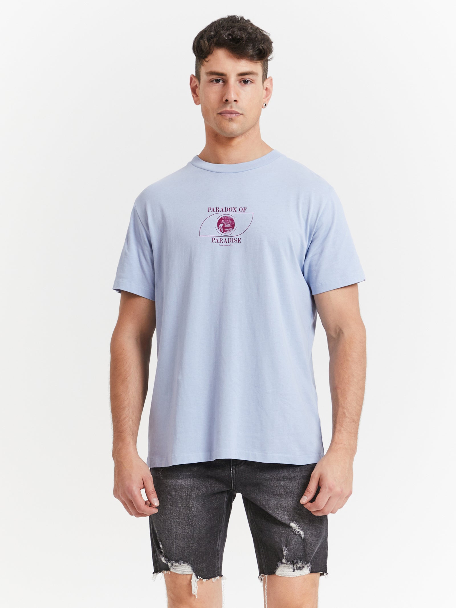 Portrait Of Paradise Merch Fit T-Shirt in Sky Blue