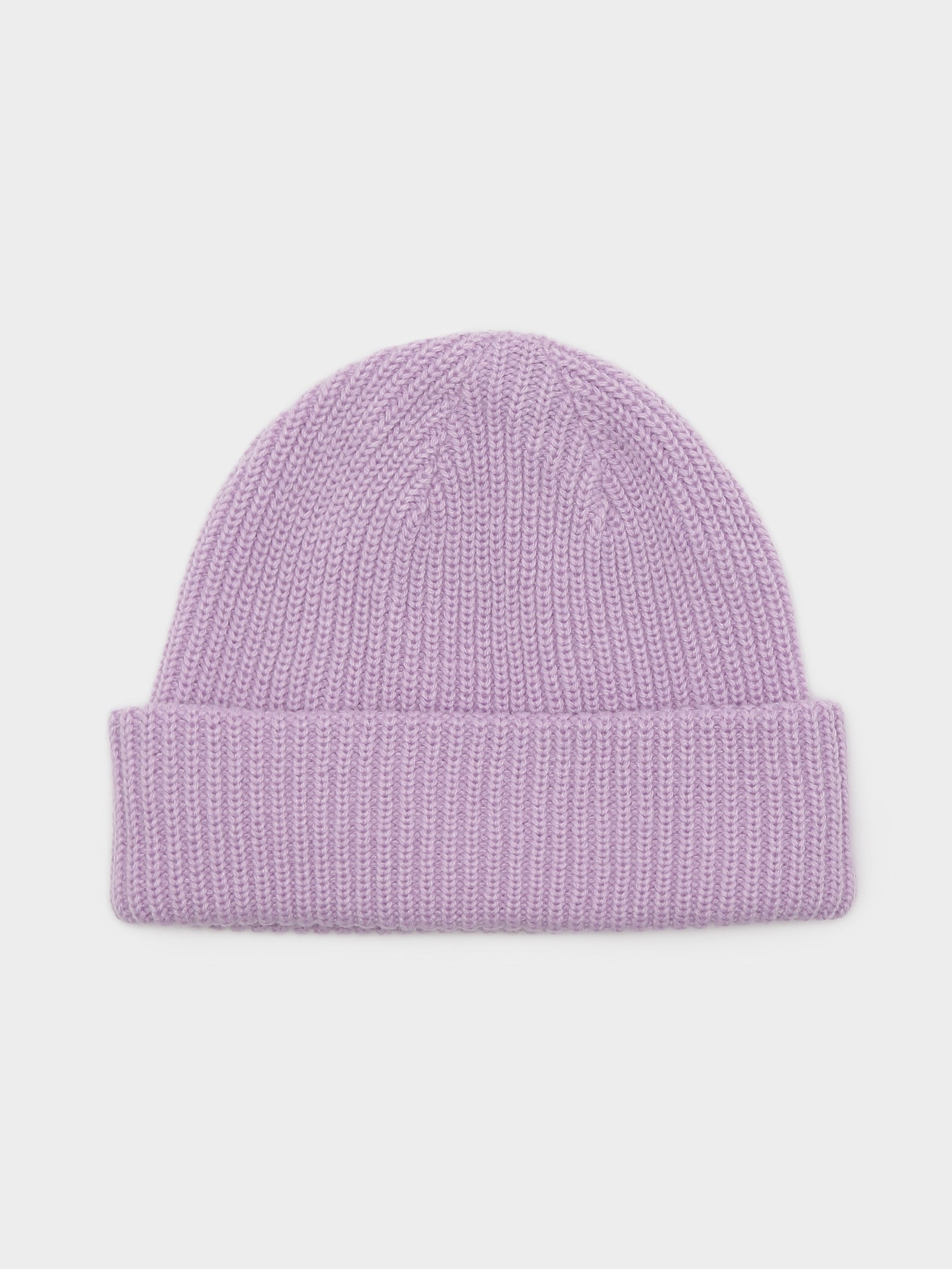 Salty Dog Beanie in Purple