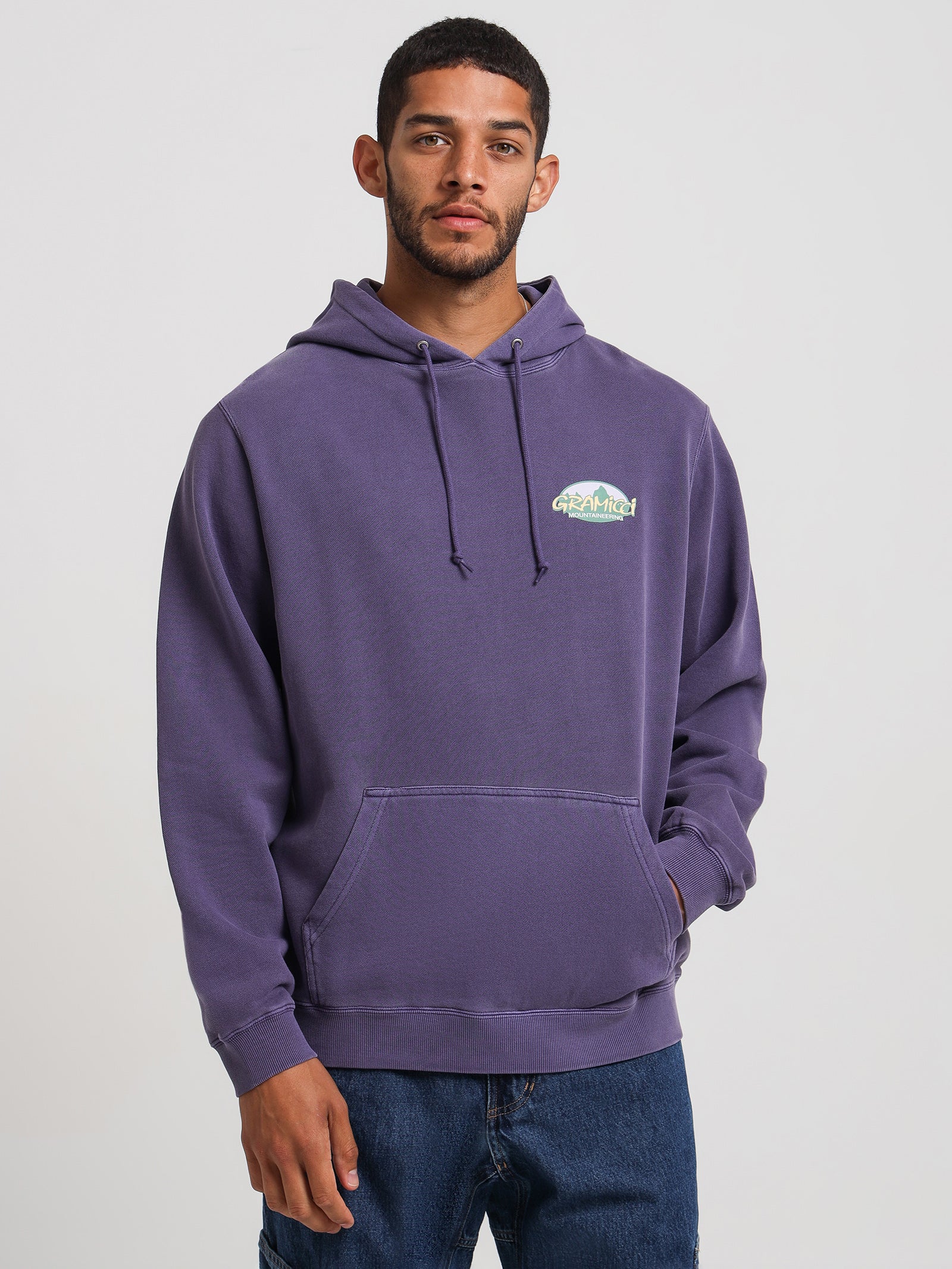 Summit Hooded Sweatshirt in Purple Pigment