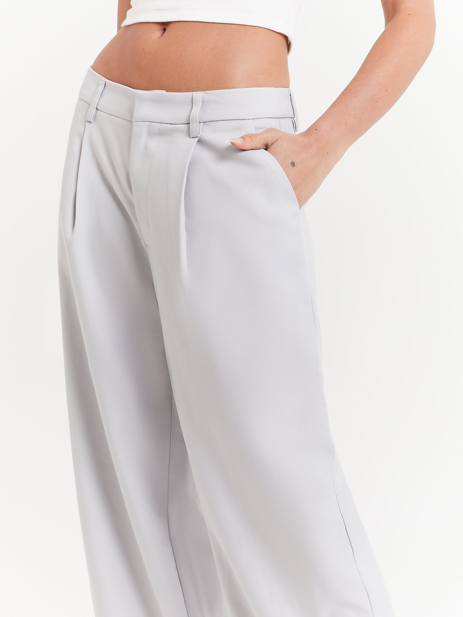 Daniela Low Rise Wide Leg Pants in Silver