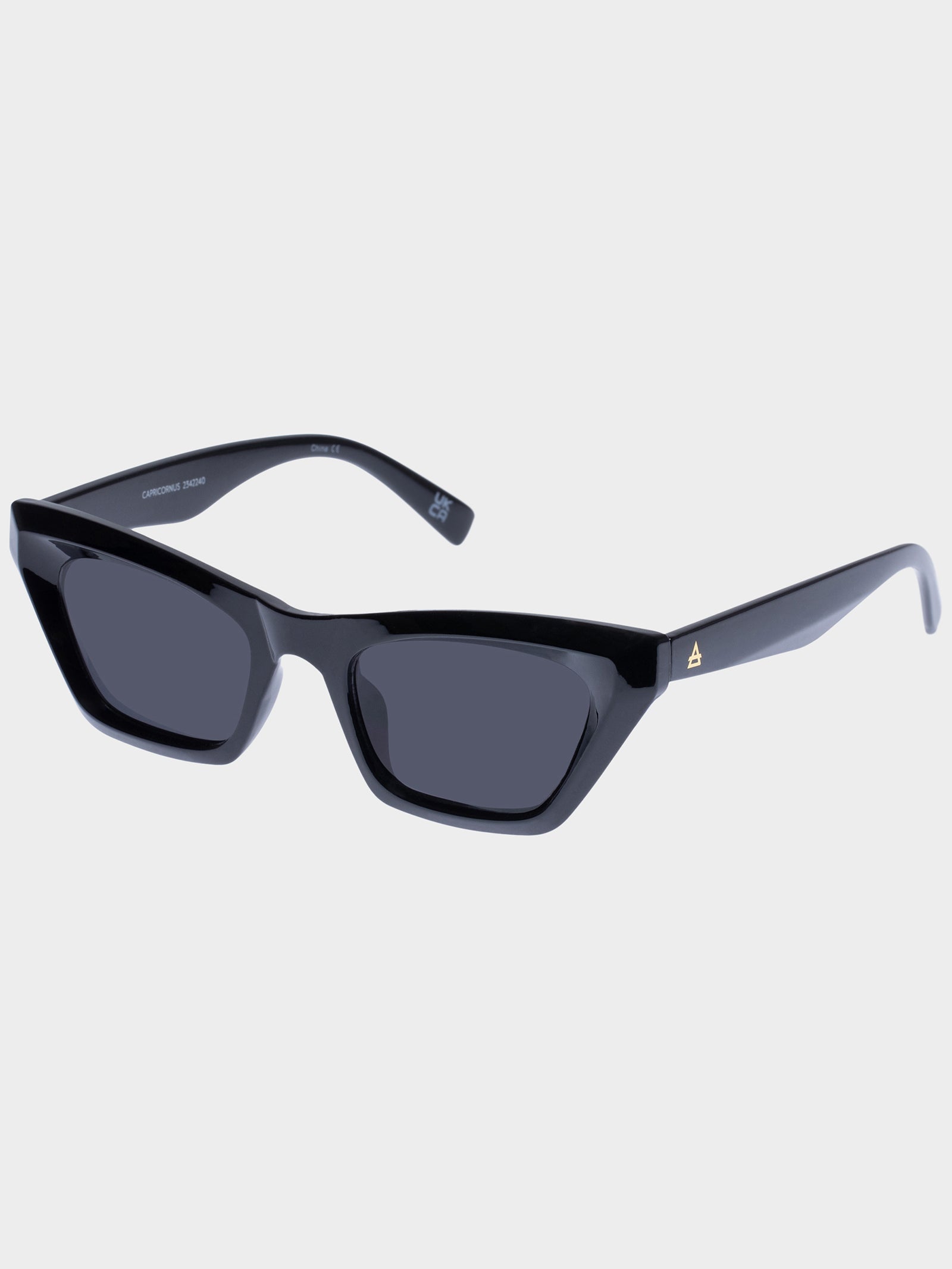 Capricornus Sunglasses in Black Smoke Mono