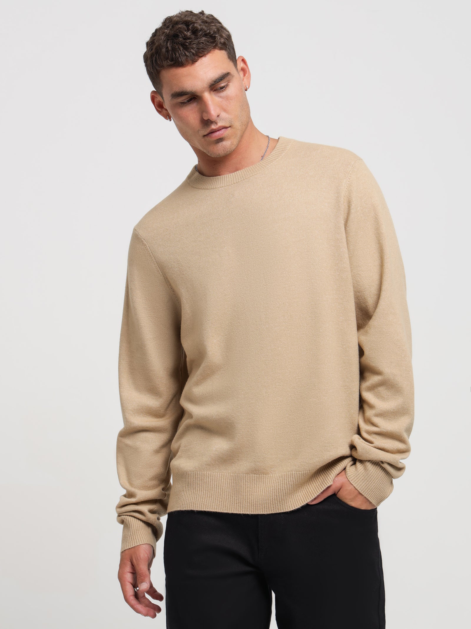 Arden Knit Sweat in Almond