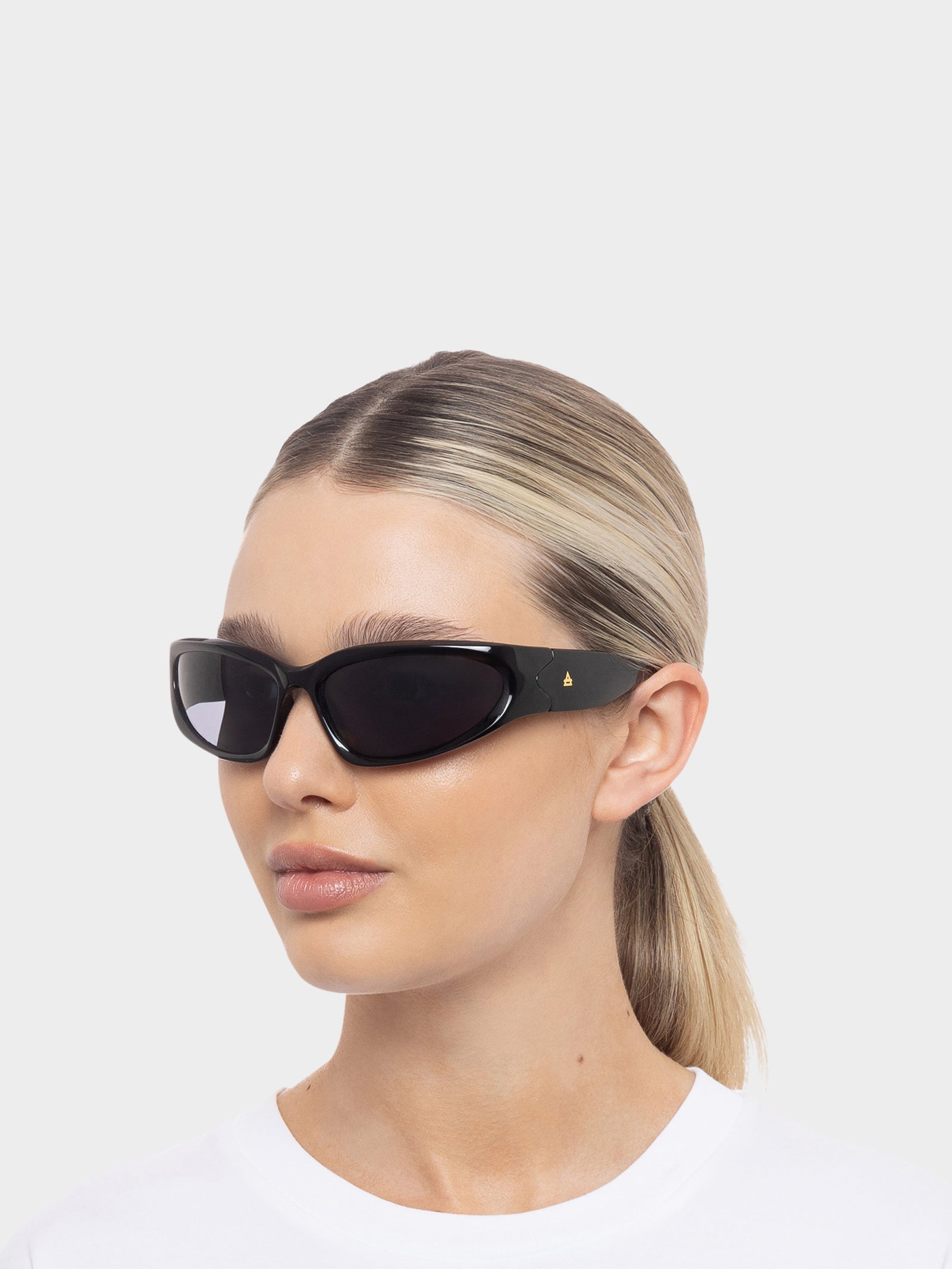 Jupiter Sunglasses in Black Smoke Mono