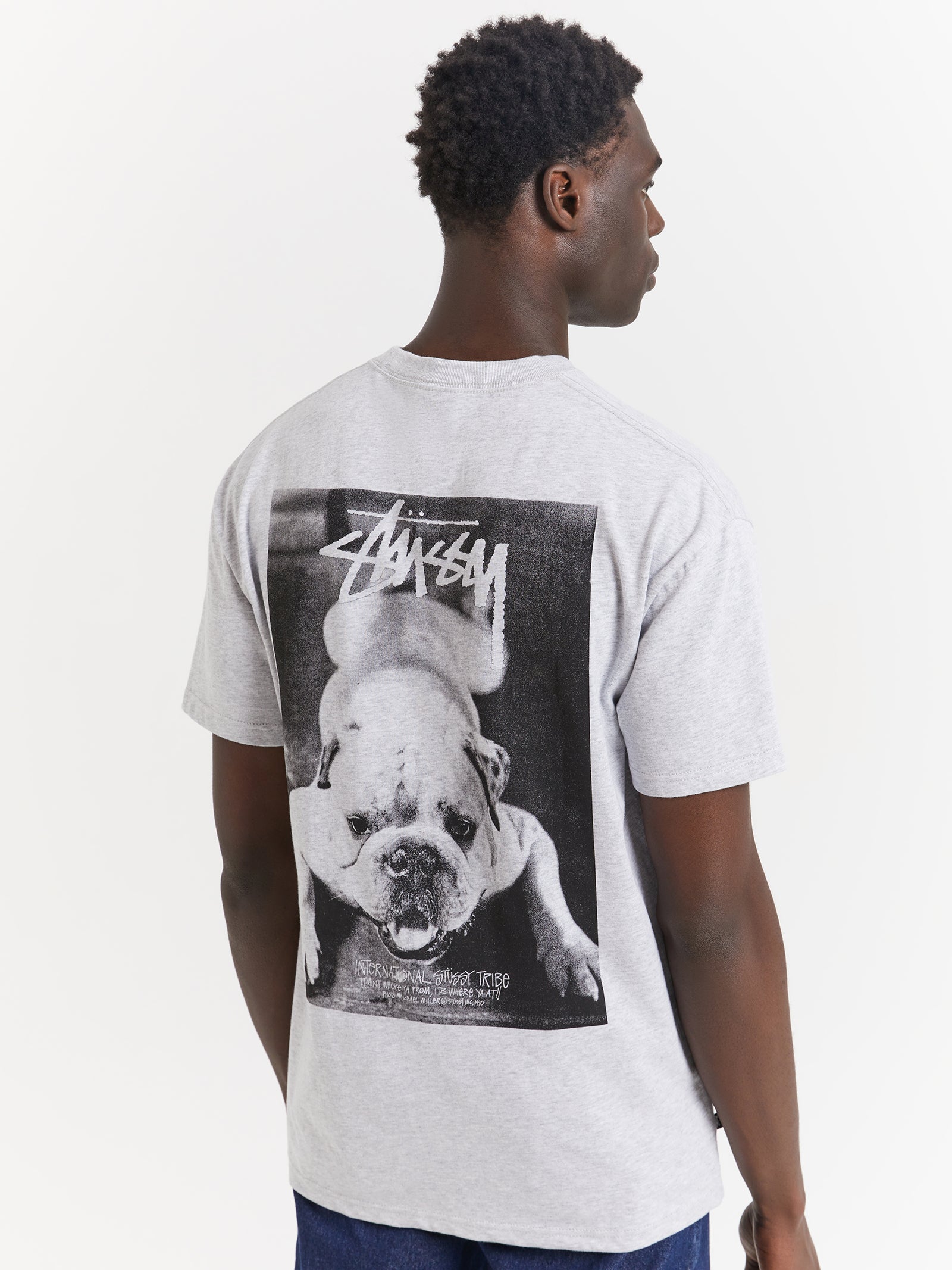 Bulldog Heavyweight T-Shirt in Ash Heather