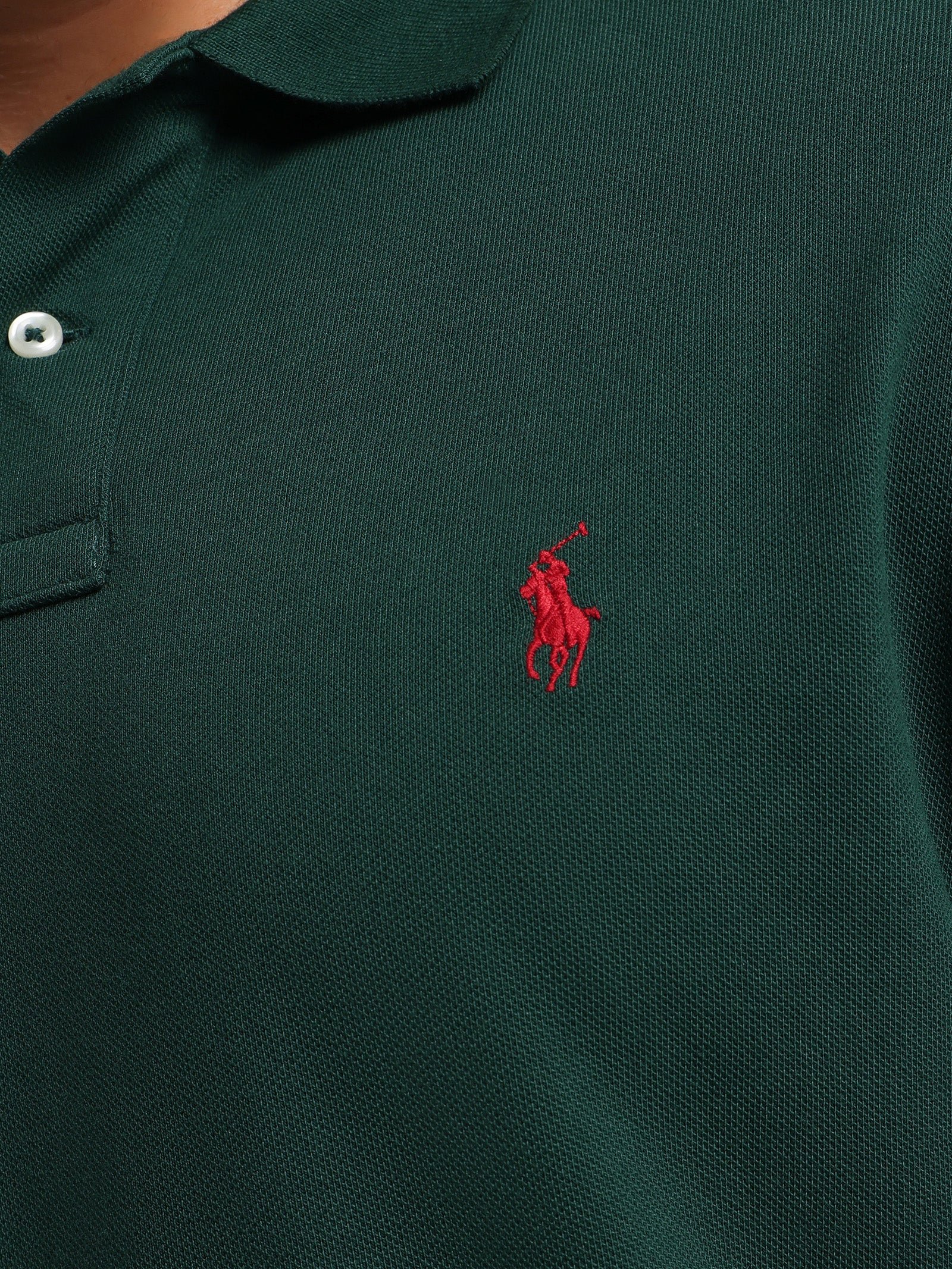 Classic Fit Mesh Polo Shirt in Green