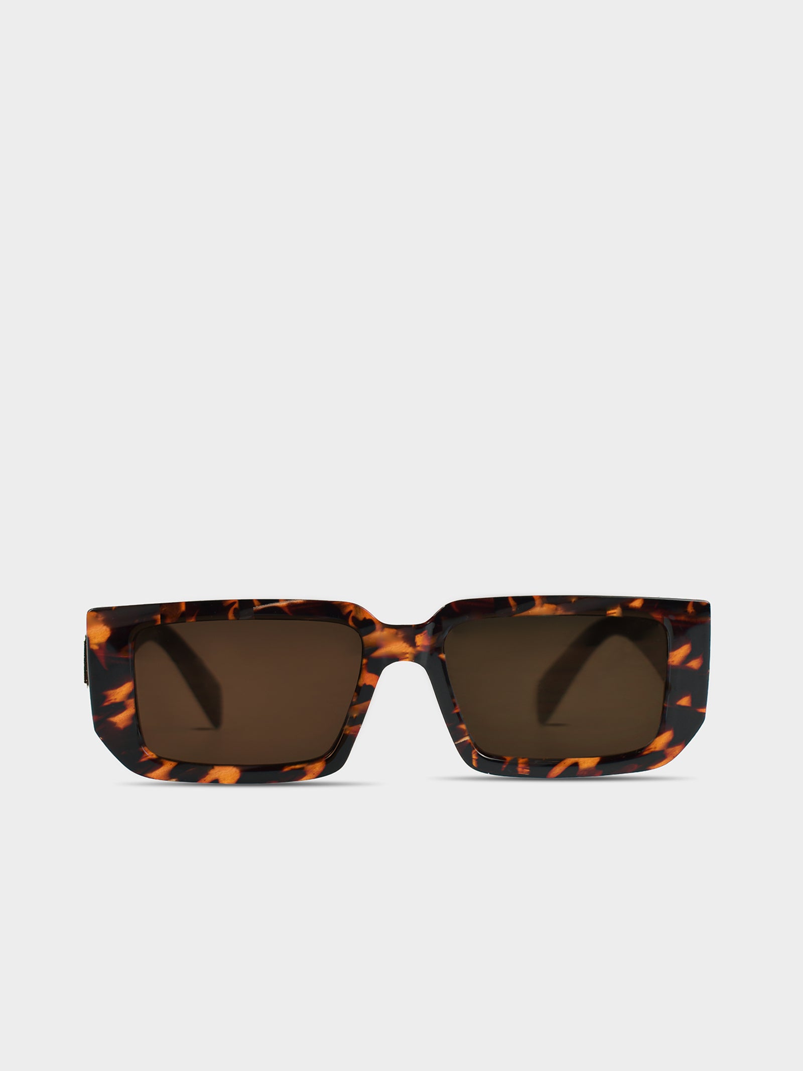 Evans Sunglasses in Tort Brown