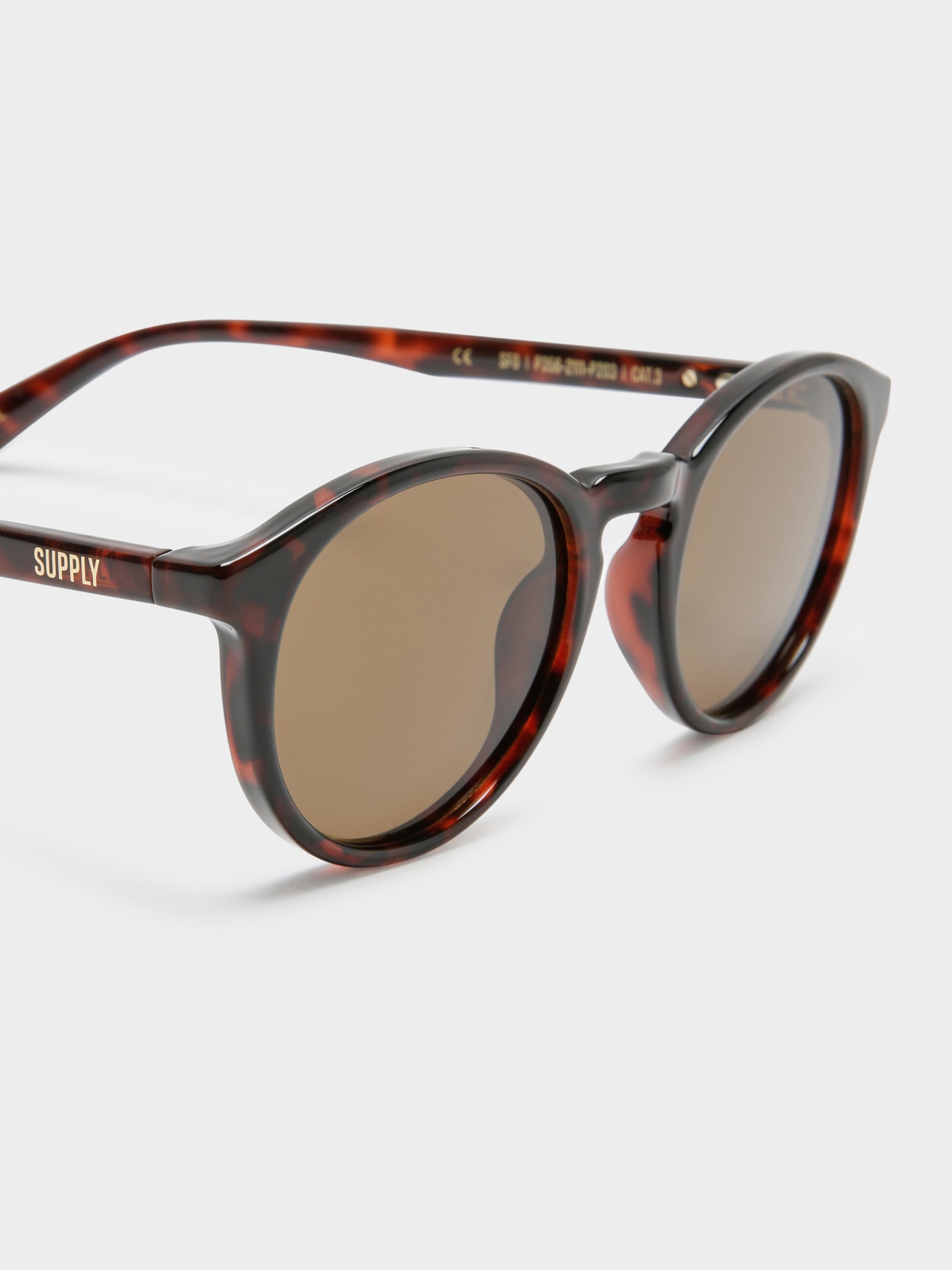 SFO Sunglasses in Tortoiseshell