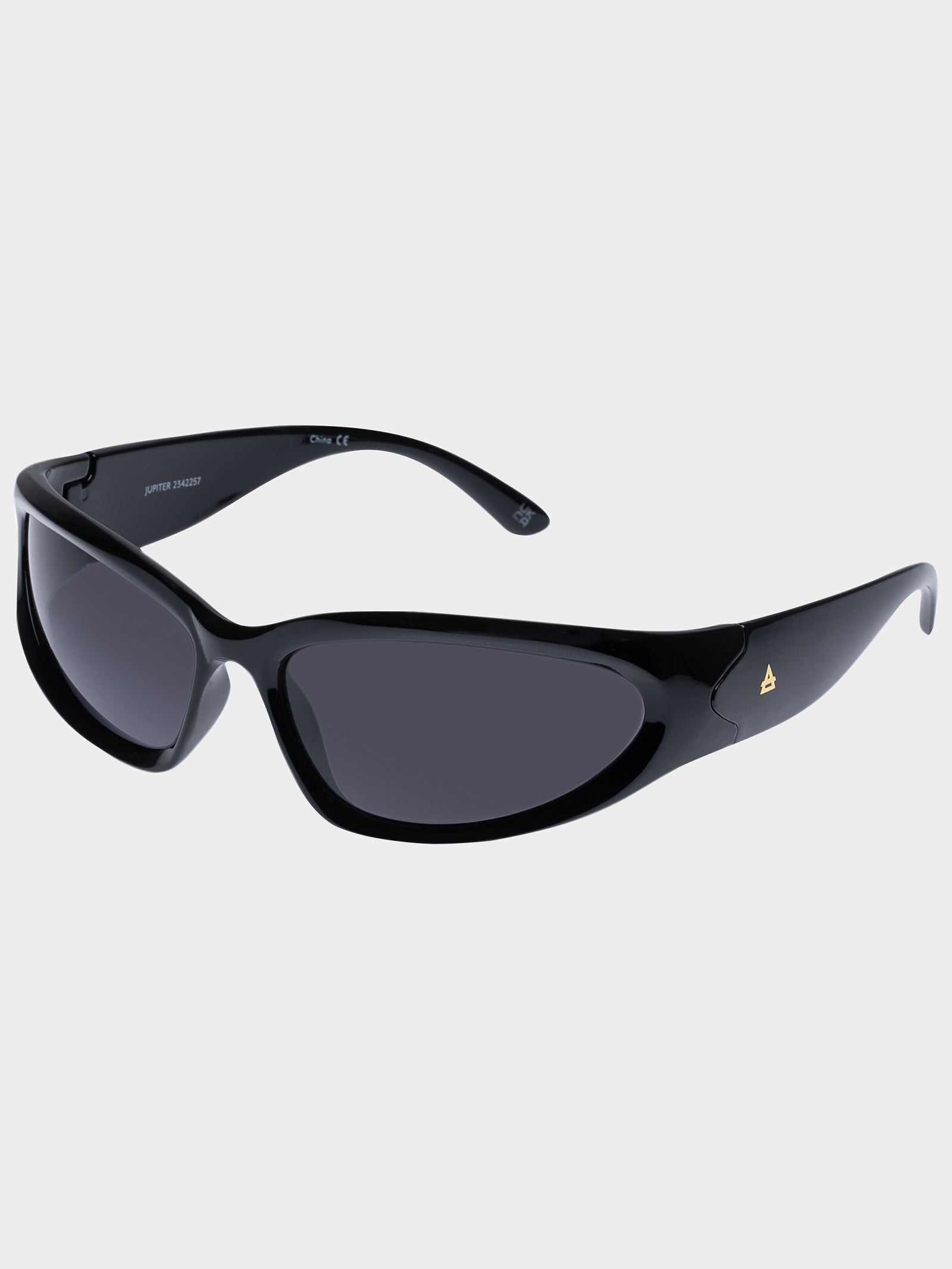 Jupiter Sunglasses in Black Smoke Mono