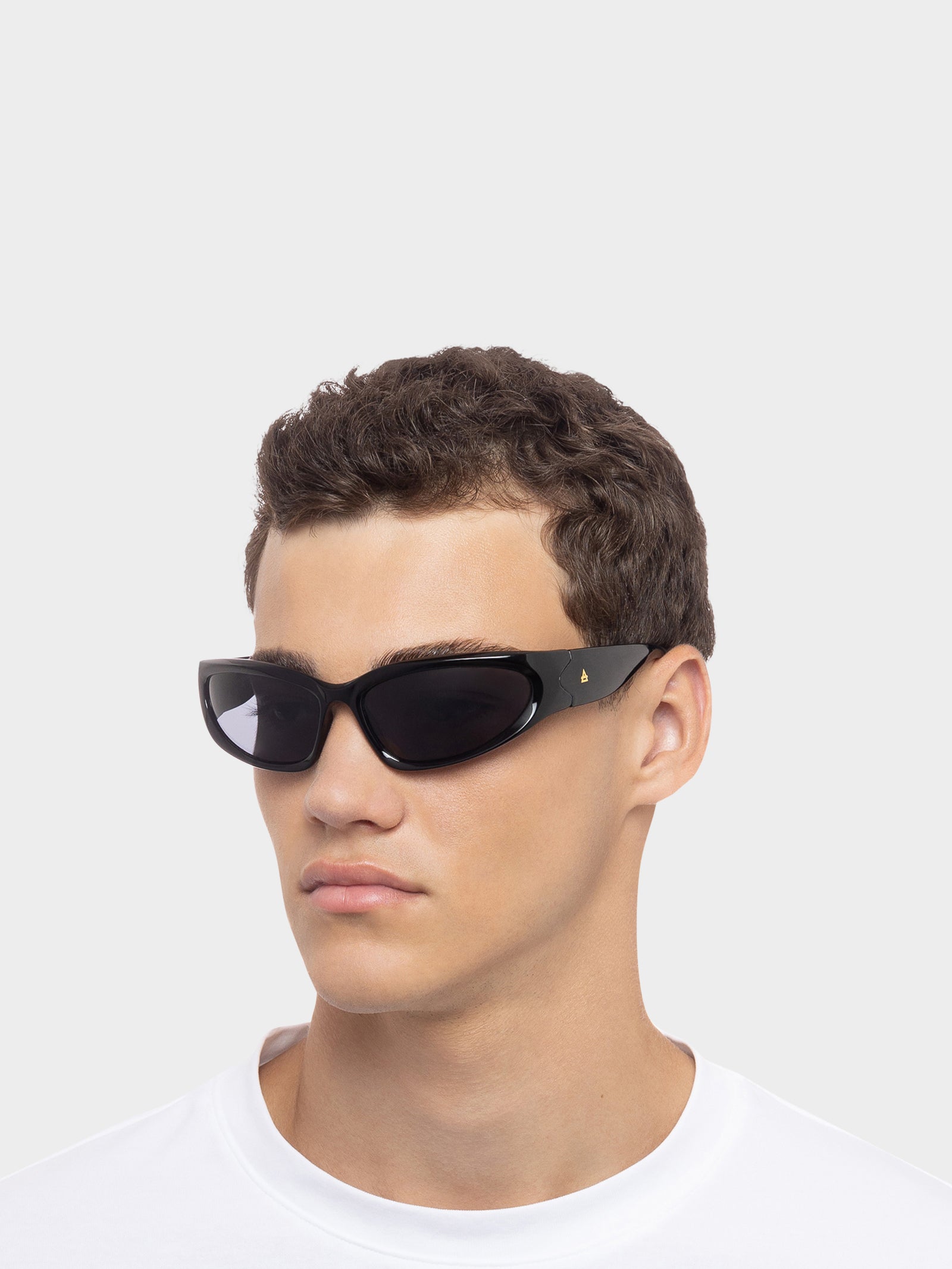 Jupiter Sunglasses in Black Smoke Mono