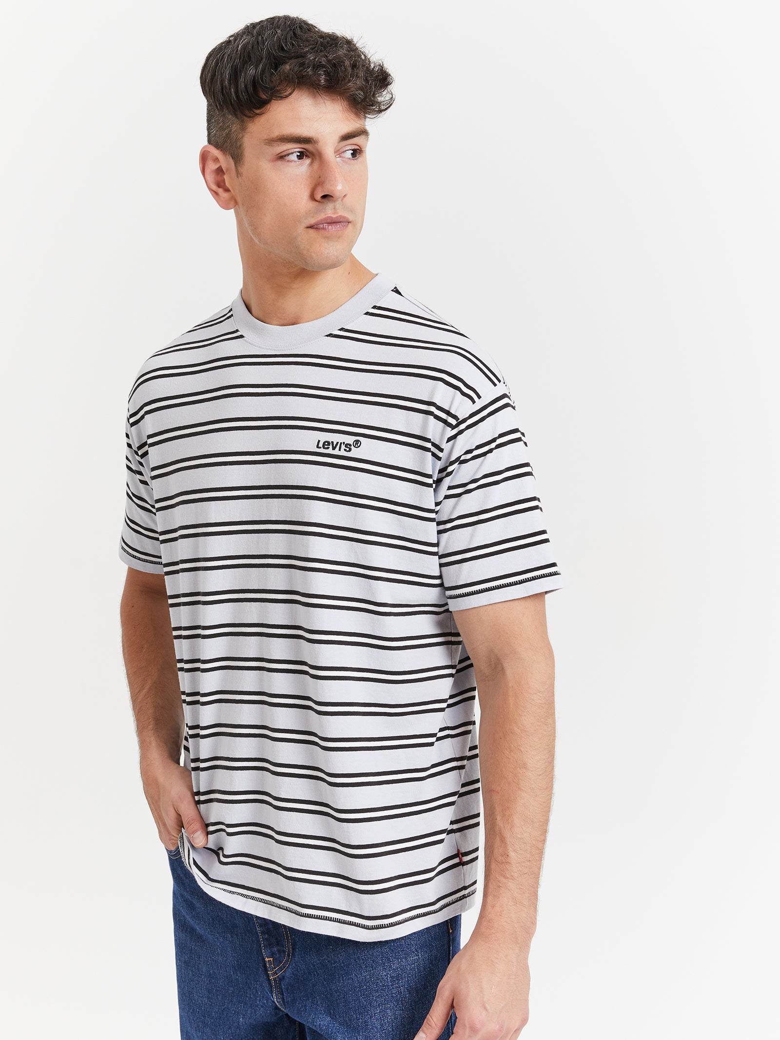 Red Tab Vintage T-Shirt in Finley Stripe Arctic Ice