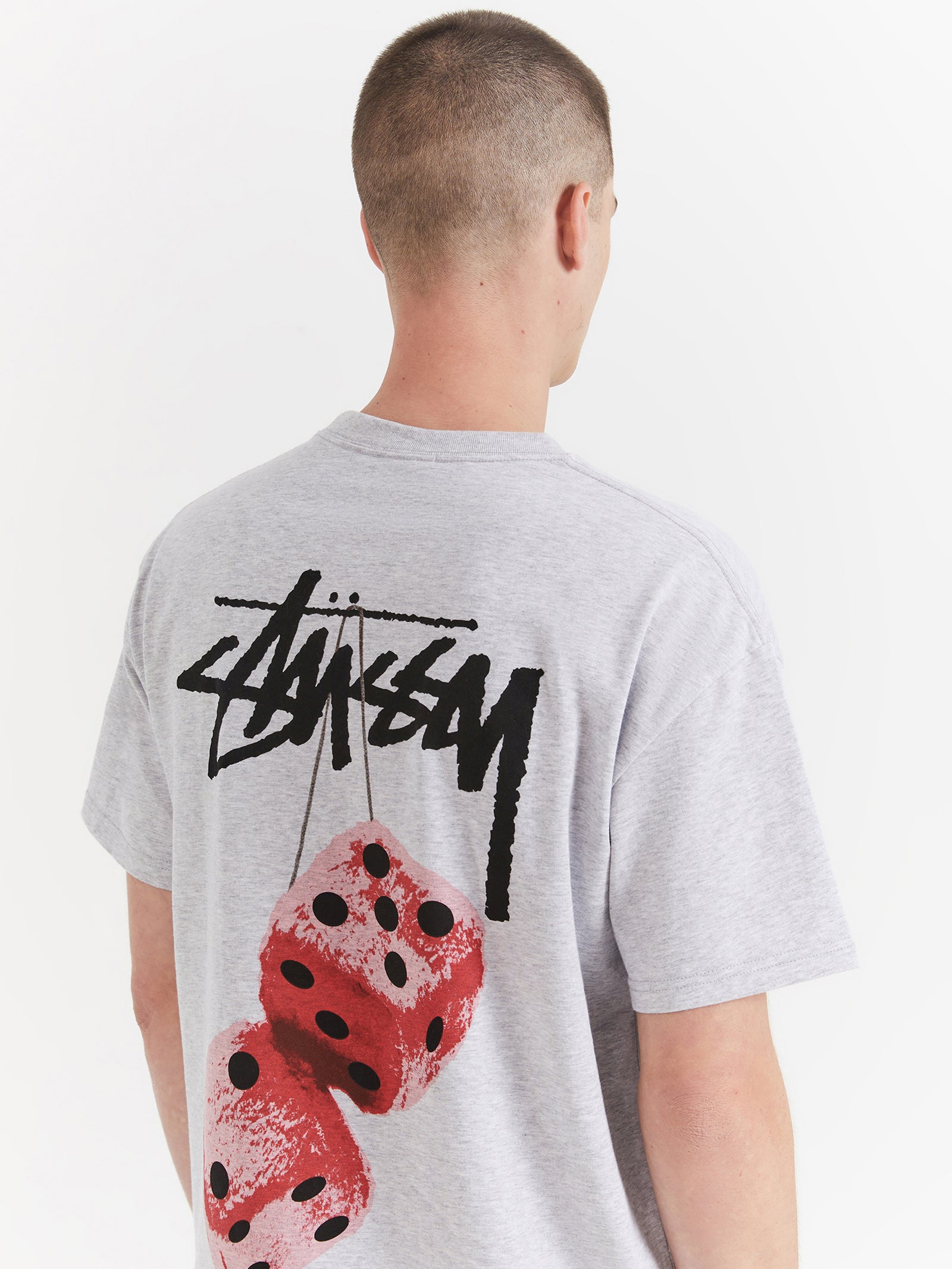 Fuzzy Dice Heavyweight T-Shirt in Ash Heather