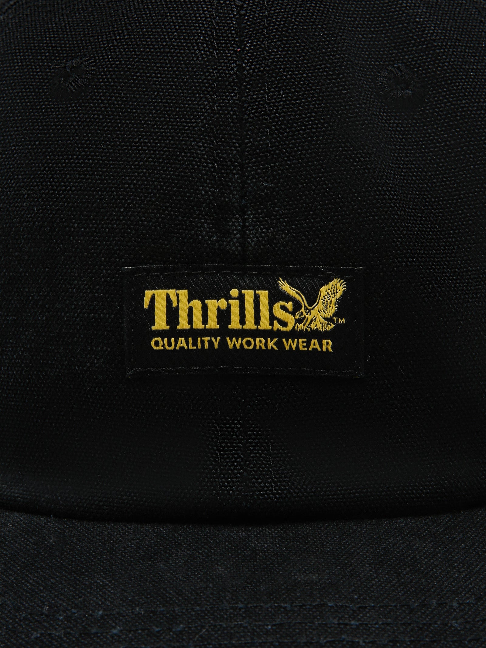 Thrills Union 6 Panel Cap in Black