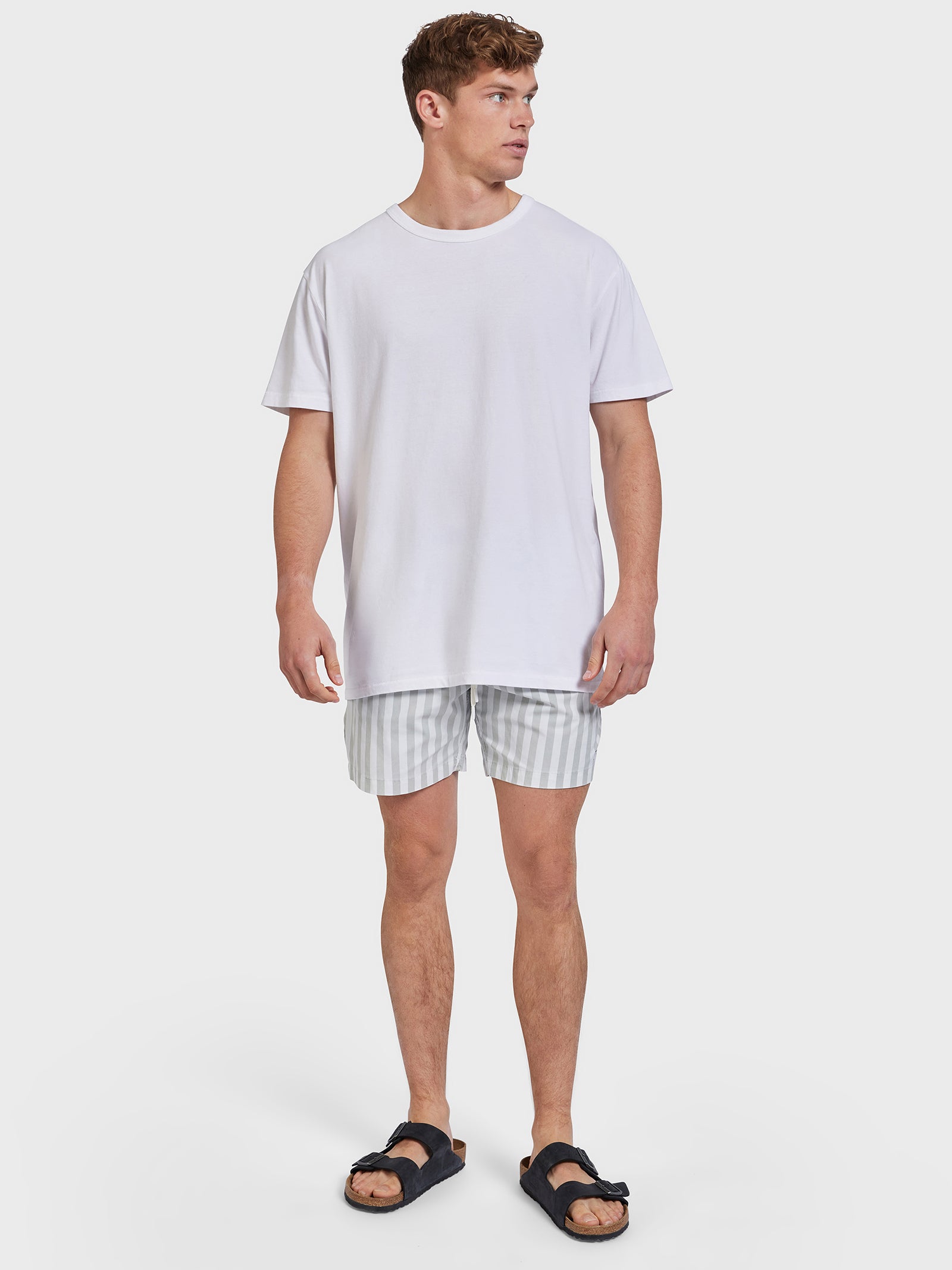 Teamster Stripe Board Shorts in Sage Green Stripe