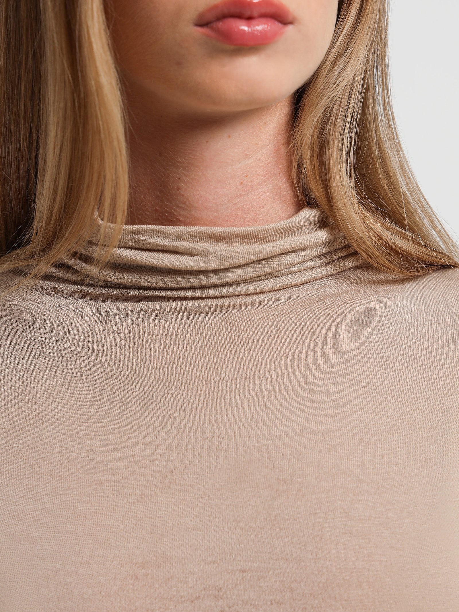 Hayven Sheer Knit Turtle Neck Top in Latte