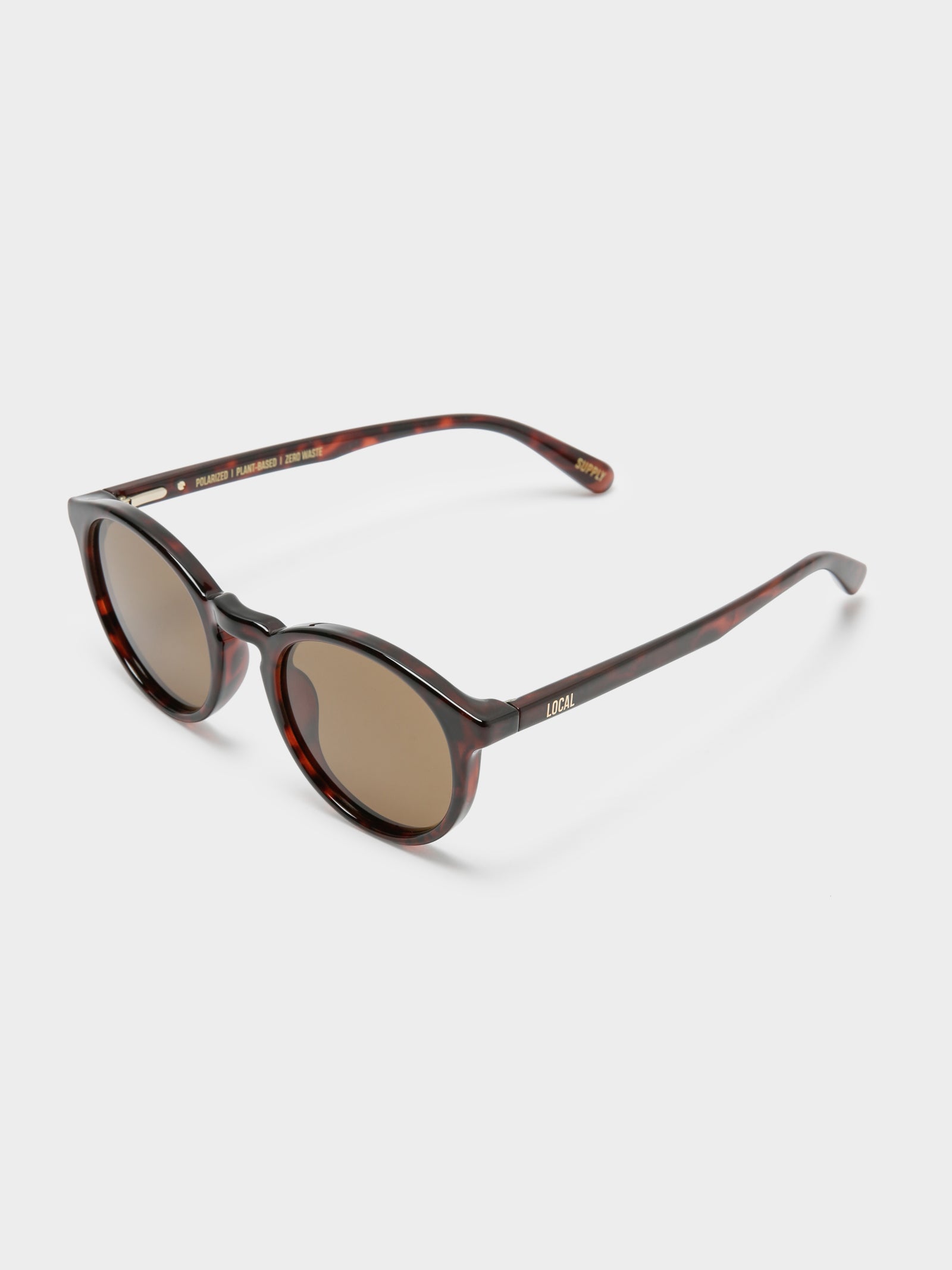 SFO Sunglasses in Tortoiseshell