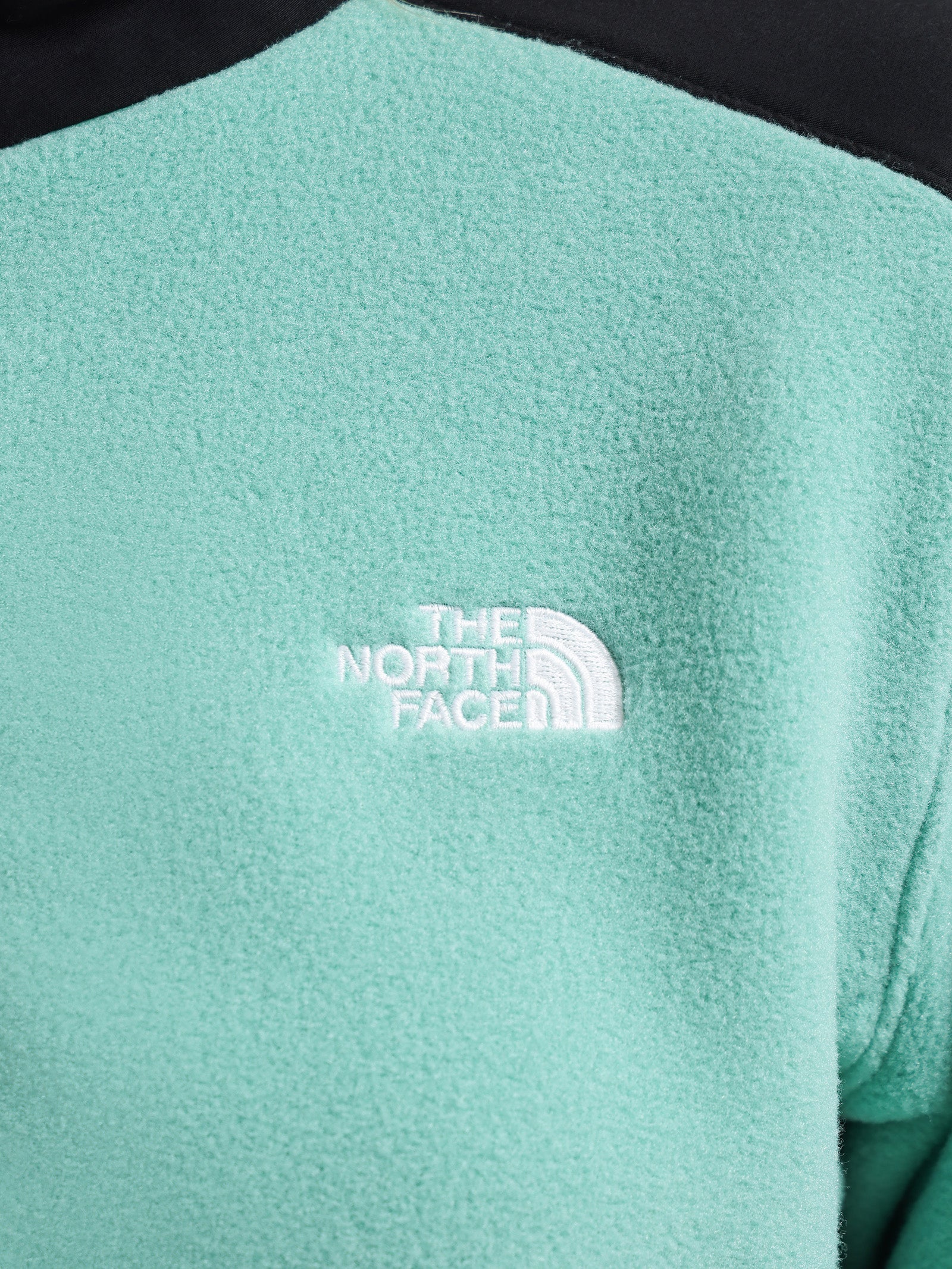 Alpine Polartec 200 Fleece Full-Zip Jacket in Wasabi Green