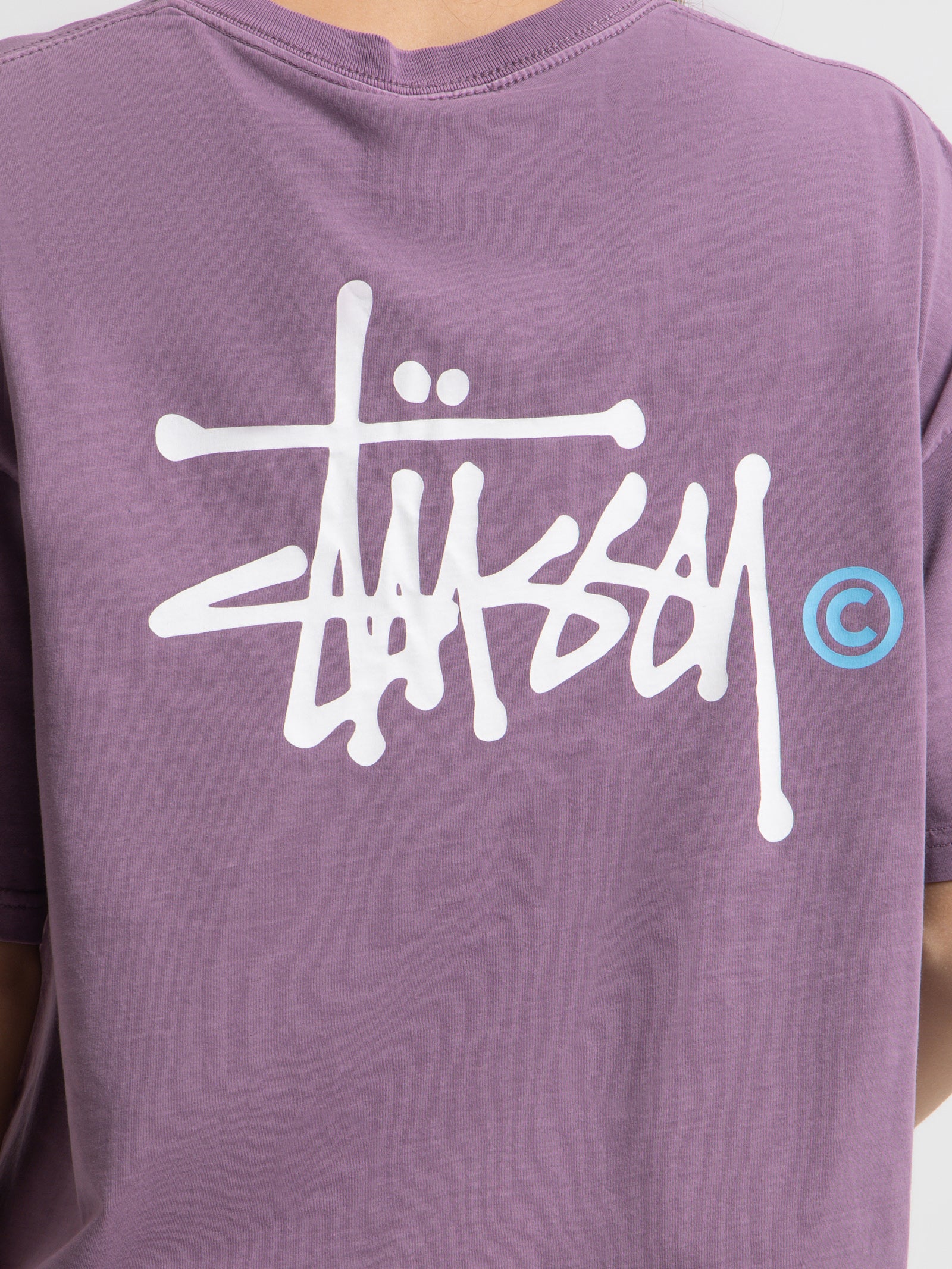 Graffiti Pigment Relaxed T-Shirt in Pigment Orchid