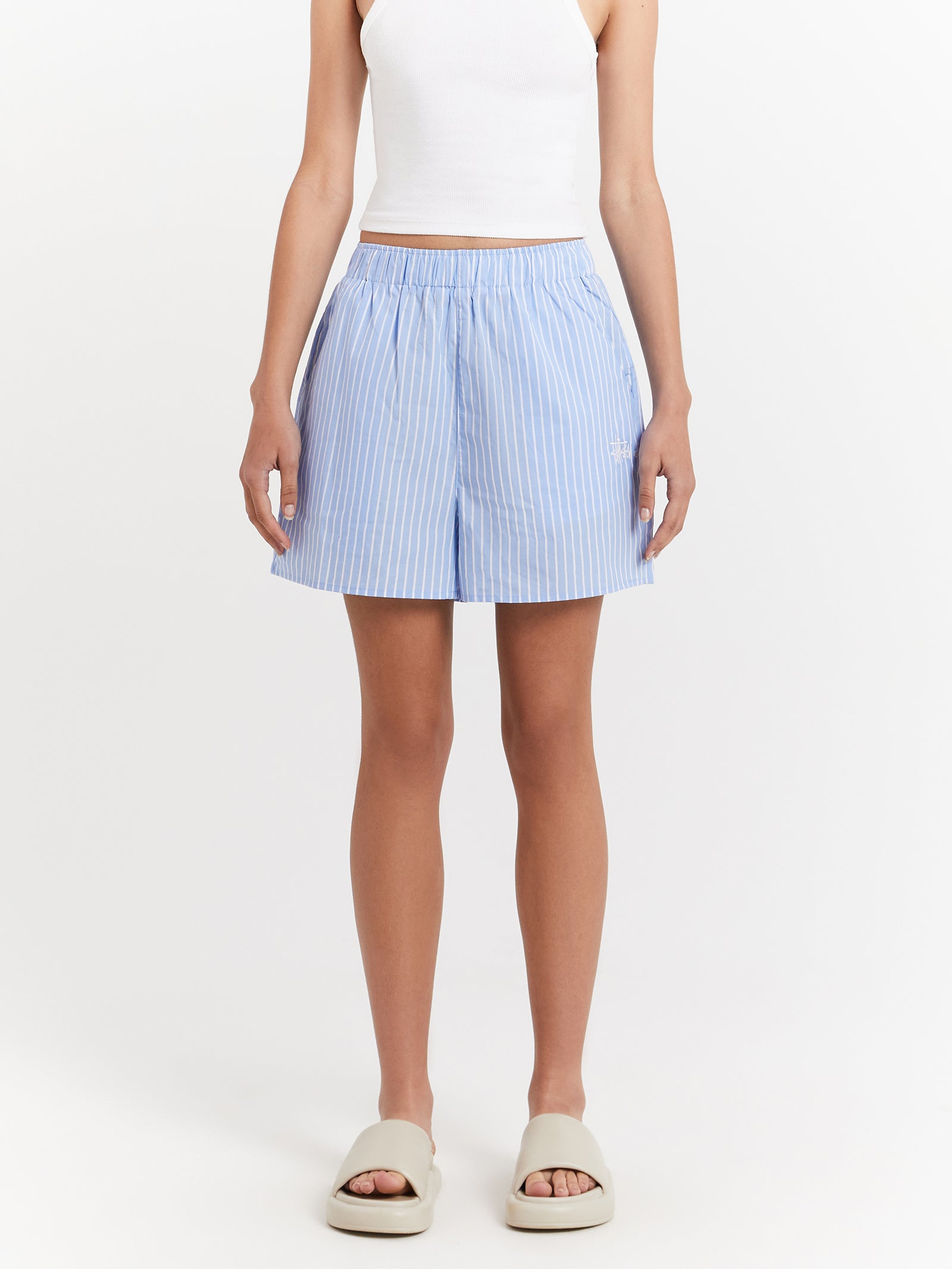 Graffiti Stripe Shorts in Blue Stripe