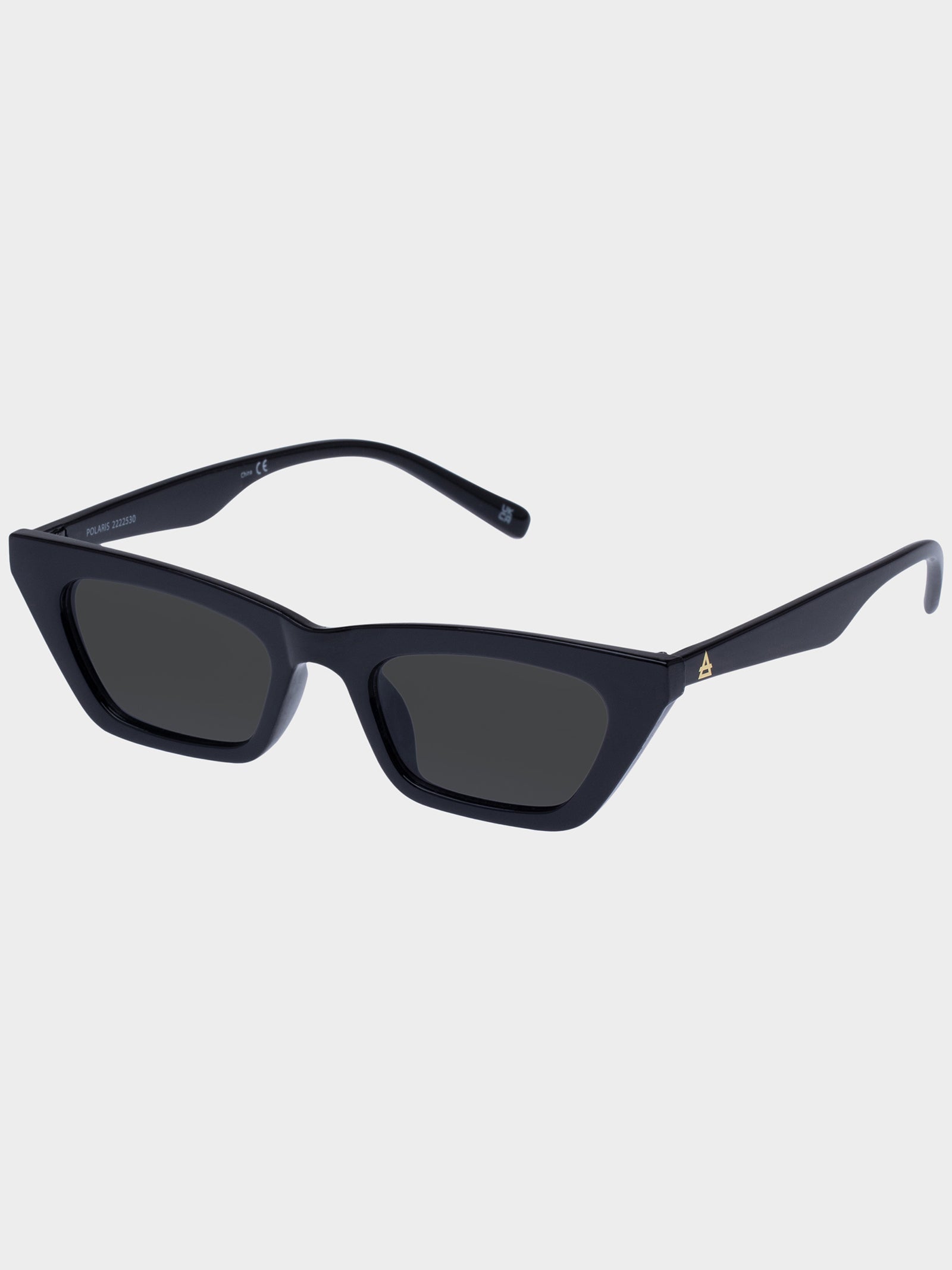 Polaris Sunglasses in Black Smoke Mono