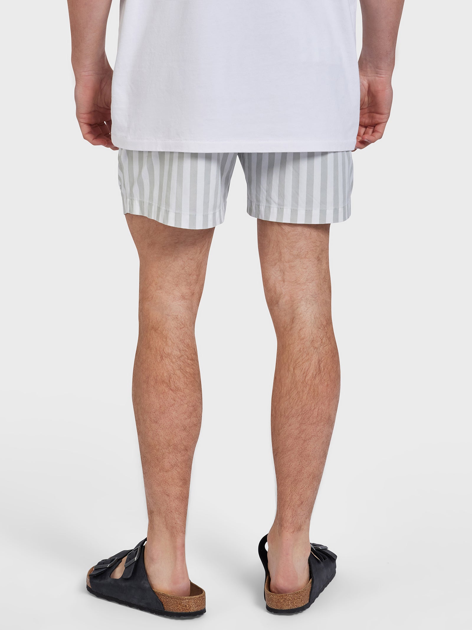 Teamster Stripe Board Shorts in Sage Green Stripe