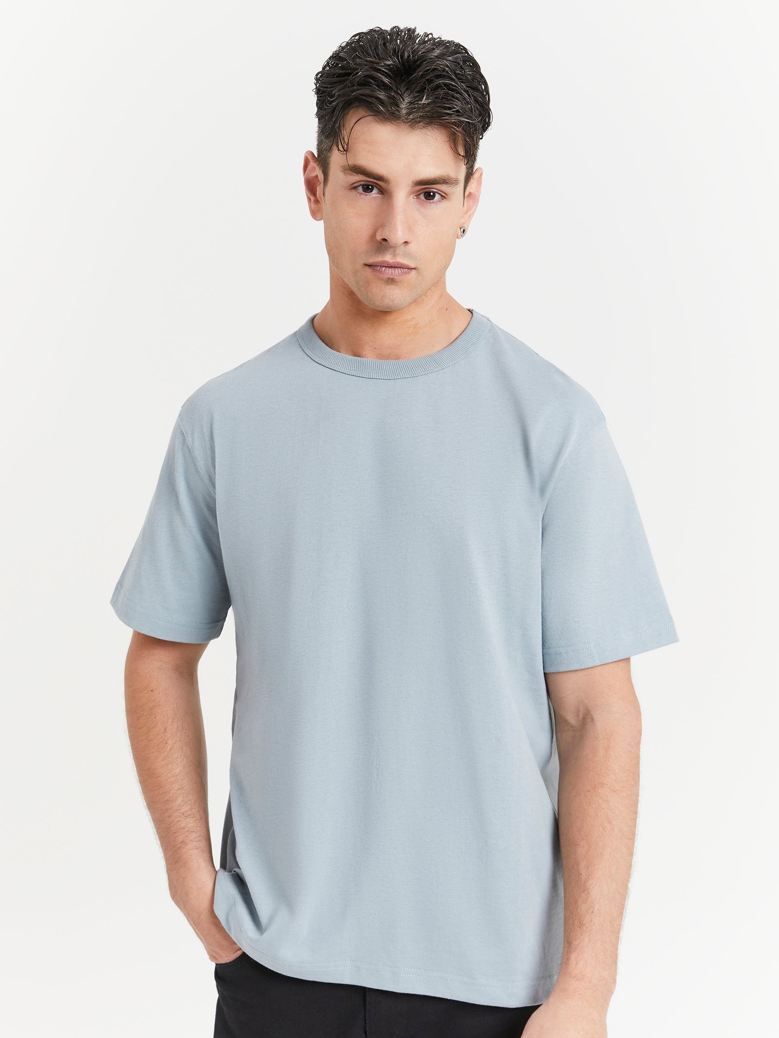 Heavyweight Crew T-Shirt in Frost