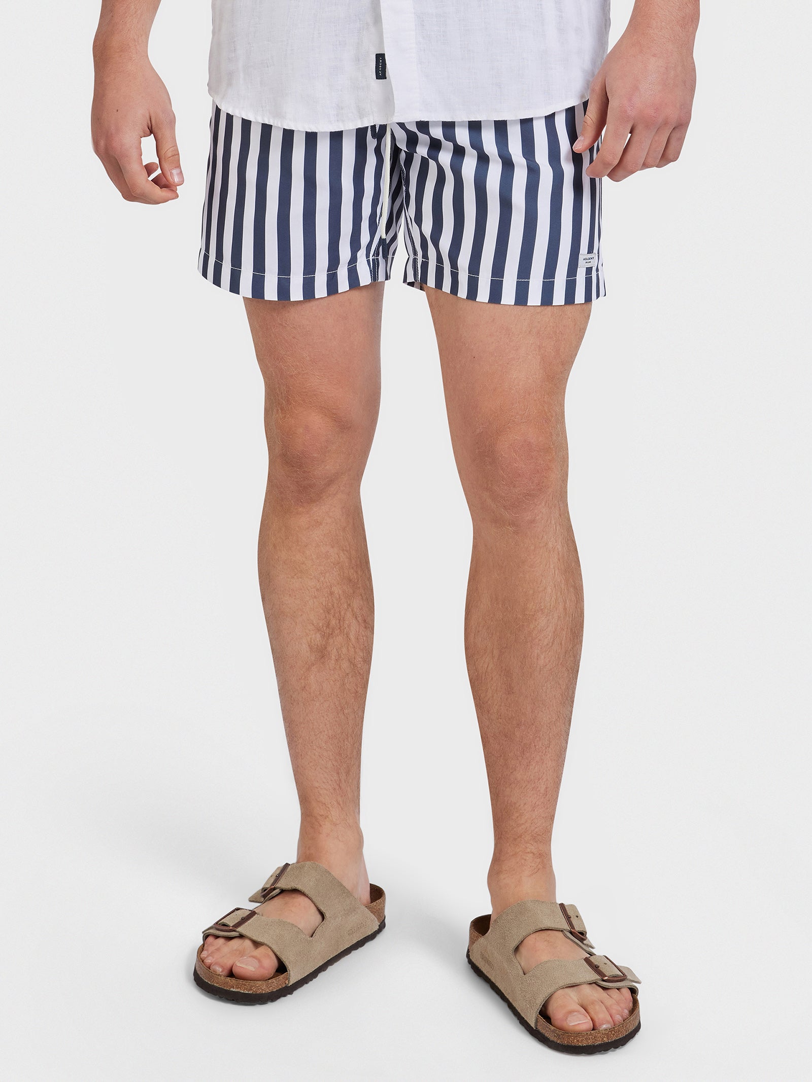 Teamster Stripe Board Shorts in Navy Stripe