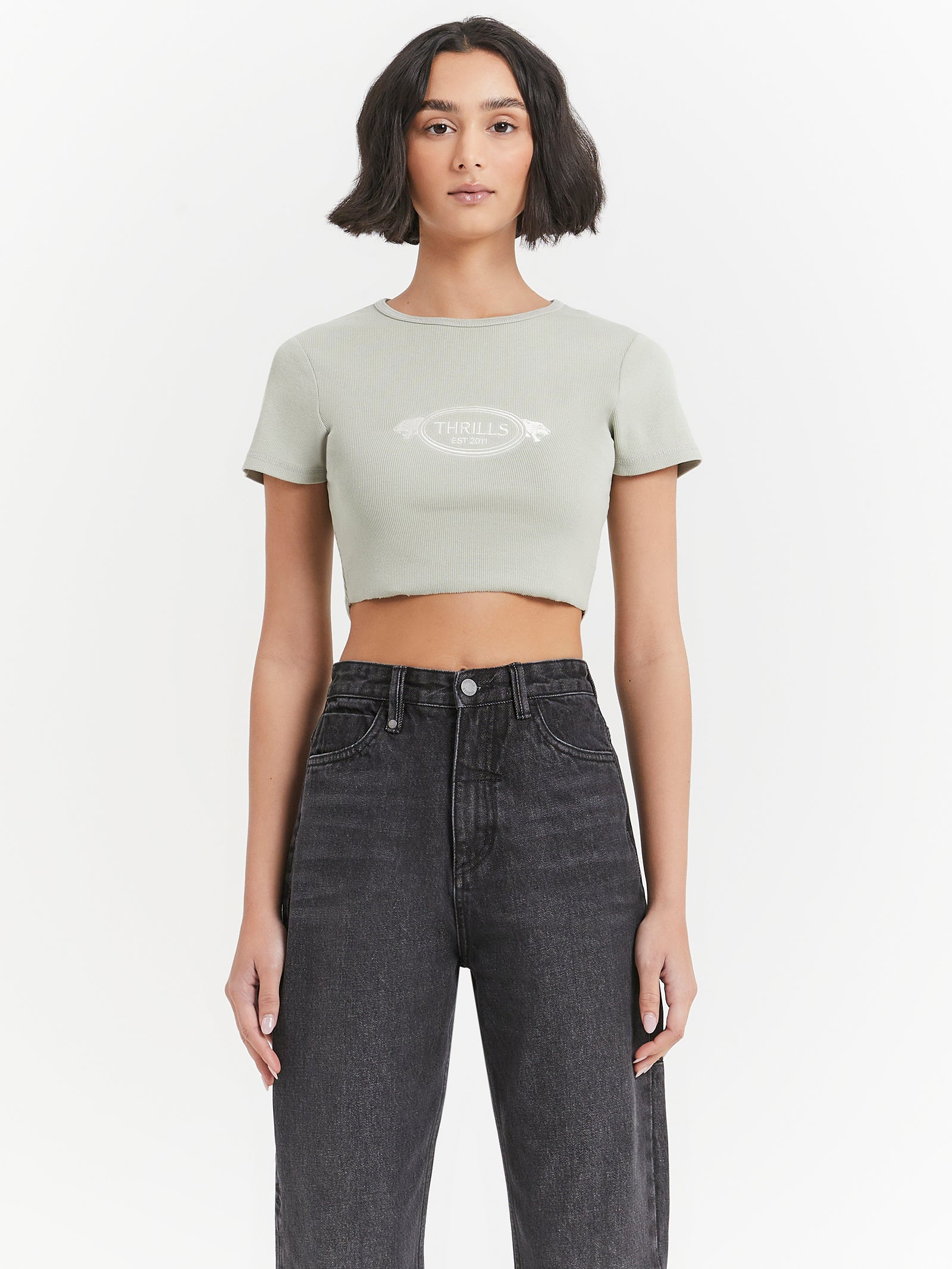 From The Beginning Baby Crop T-Shirt in Sage Grey