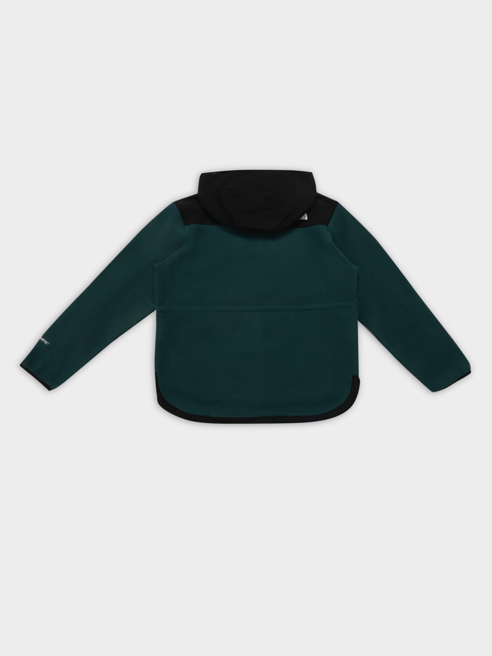 Denali Hoodie in Green