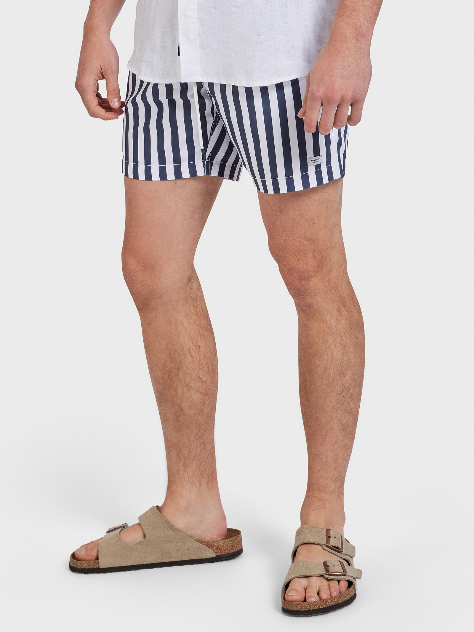 Teamster Stripe Board Shorts in Navy Stripe