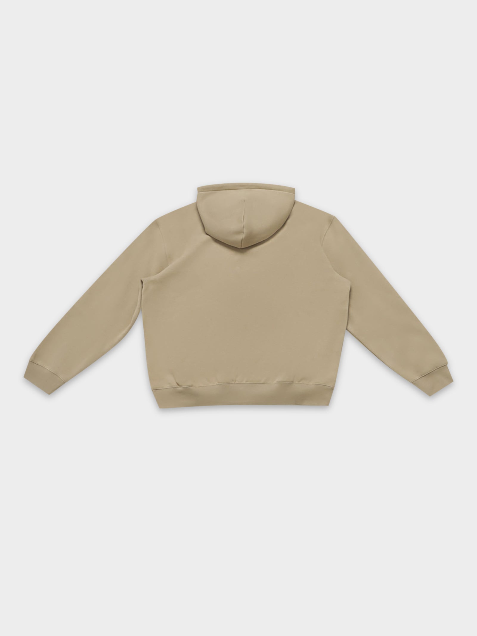 Hooded Carhartt Sweatshirt in Wall Cypress Tan