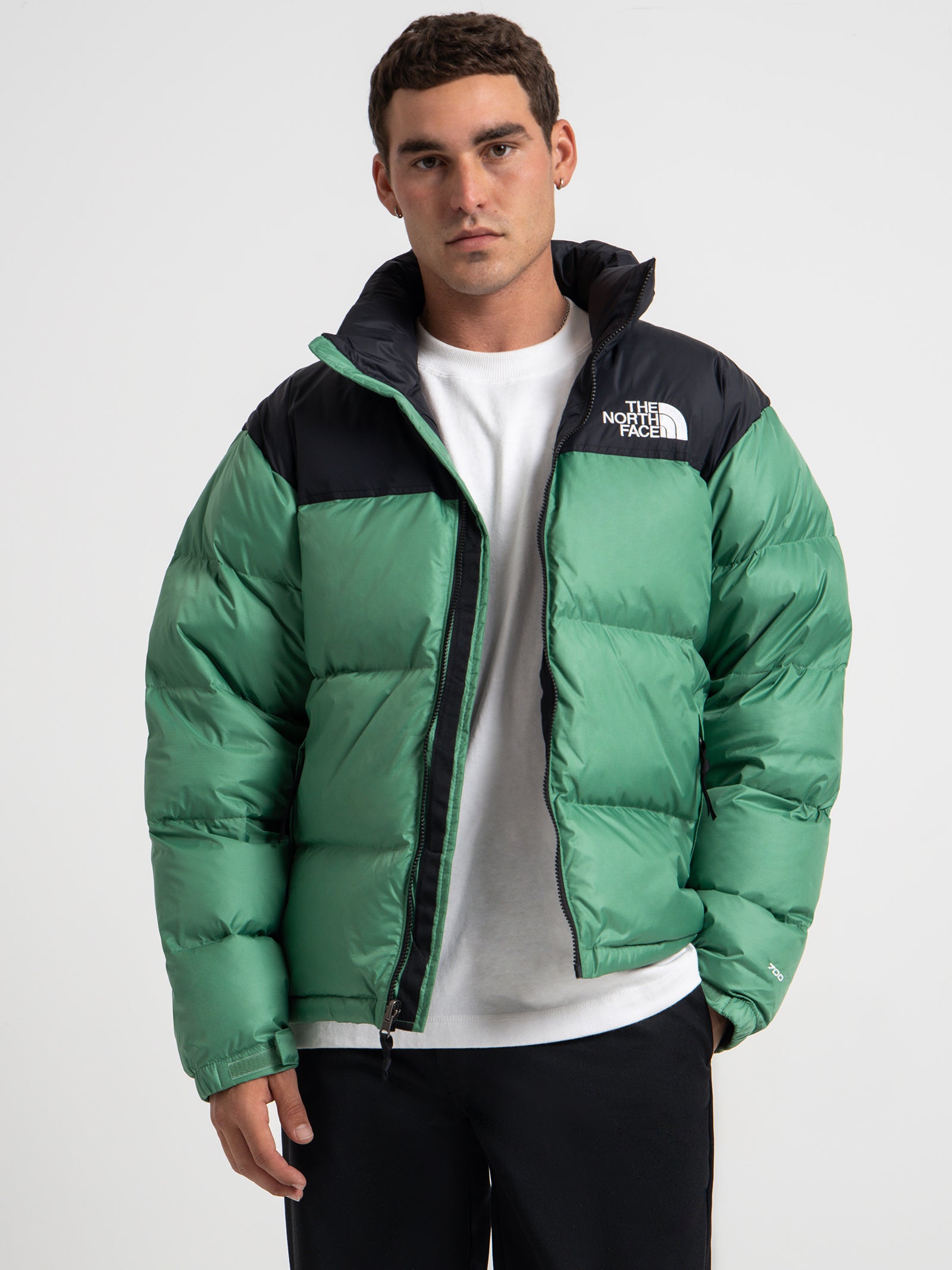 1996 Retro Nuptse Jacket in Deep Grass Green