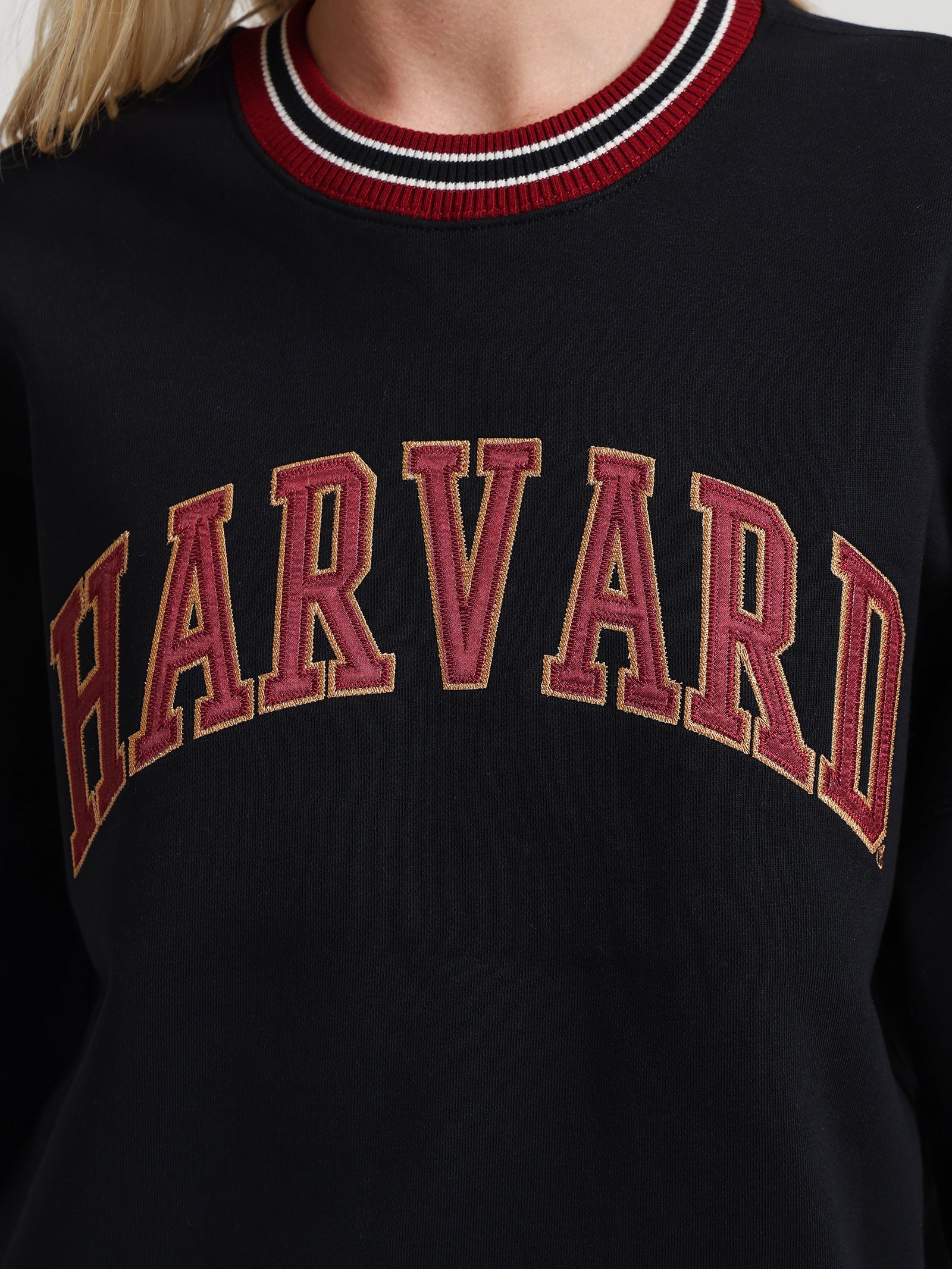 Harvard Trim Crew Neck Sweater in Black