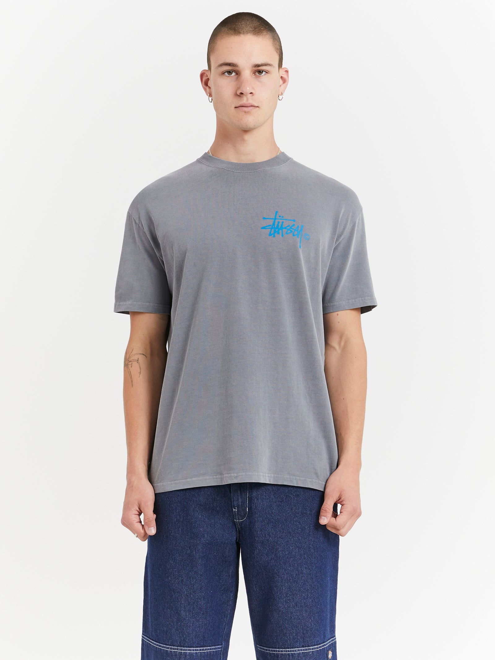 Pigment Heavyweight Shadow Graffitti T-Shirt in Pigment Dusty Grey