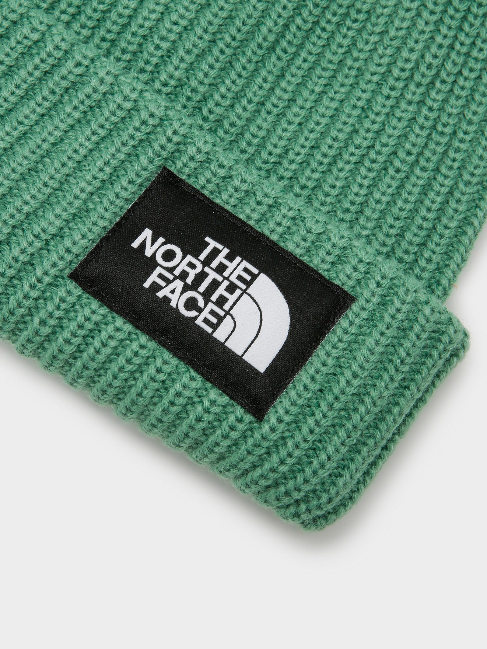 Salty Dog Beanie in Green