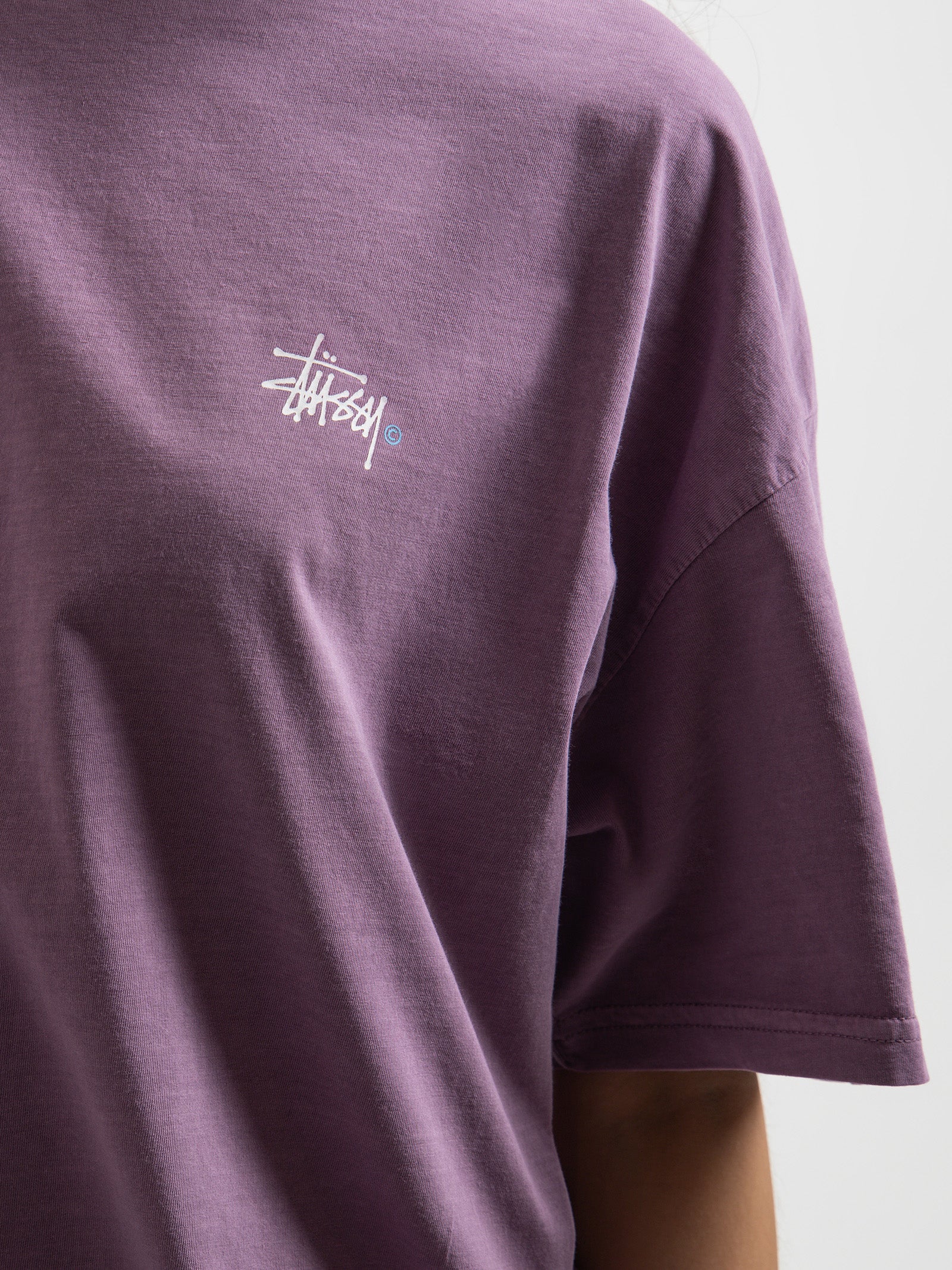 Graffiti Pigment Relaxed T-Shirt in Pigment Orchid