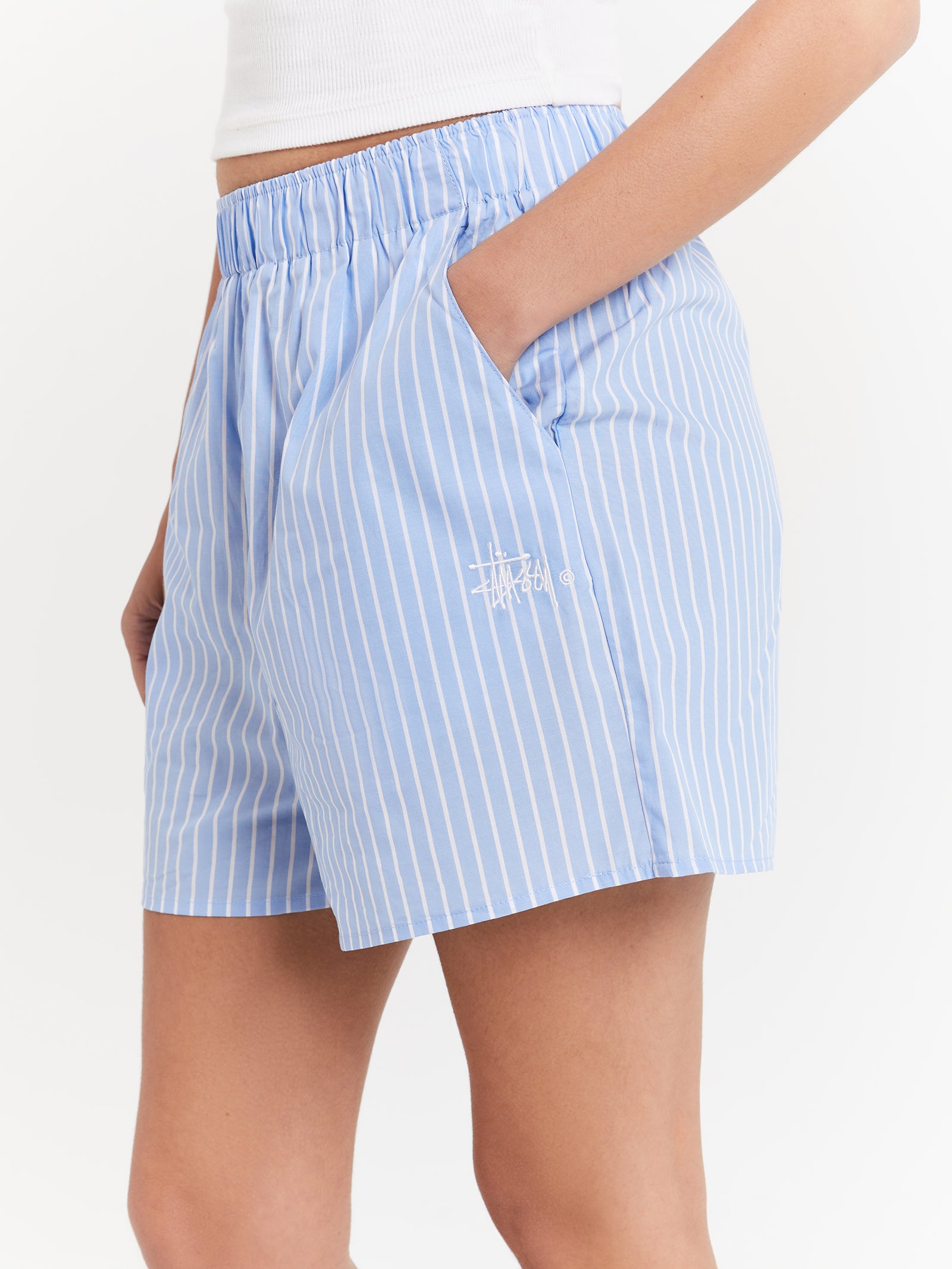 Graffiti Stripe Shorts in Blue Stripe