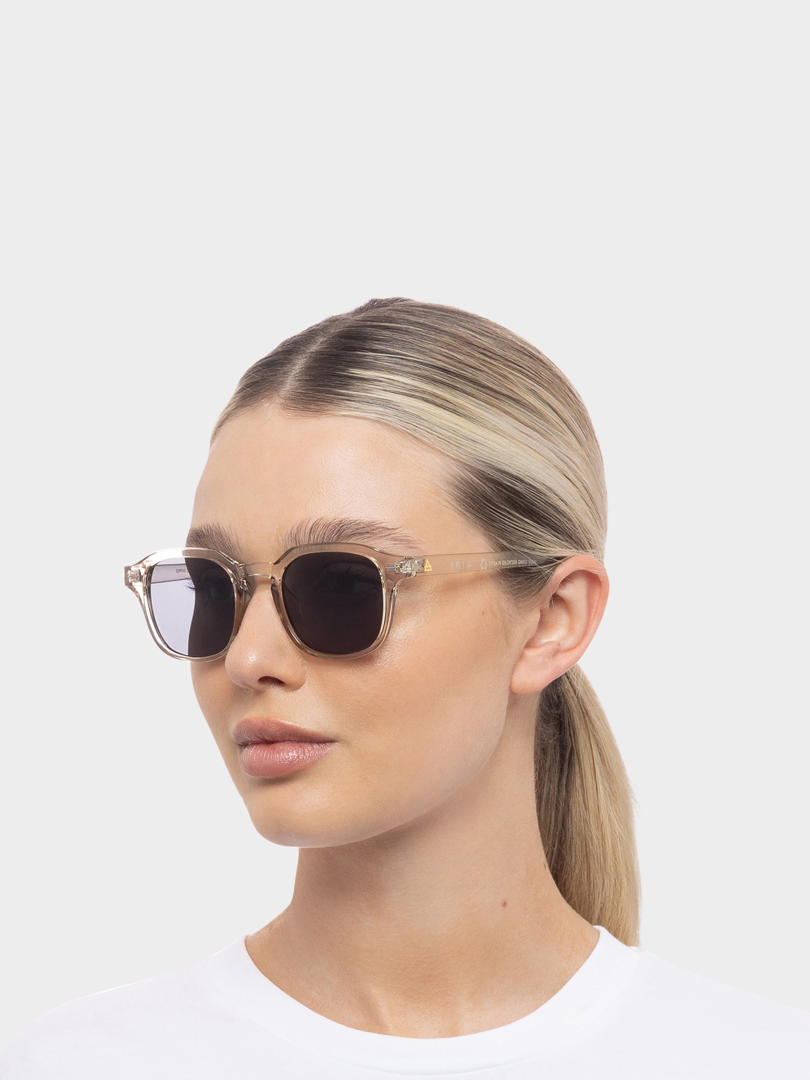 Serpens Sunglasses in Pebble Smoke Mono