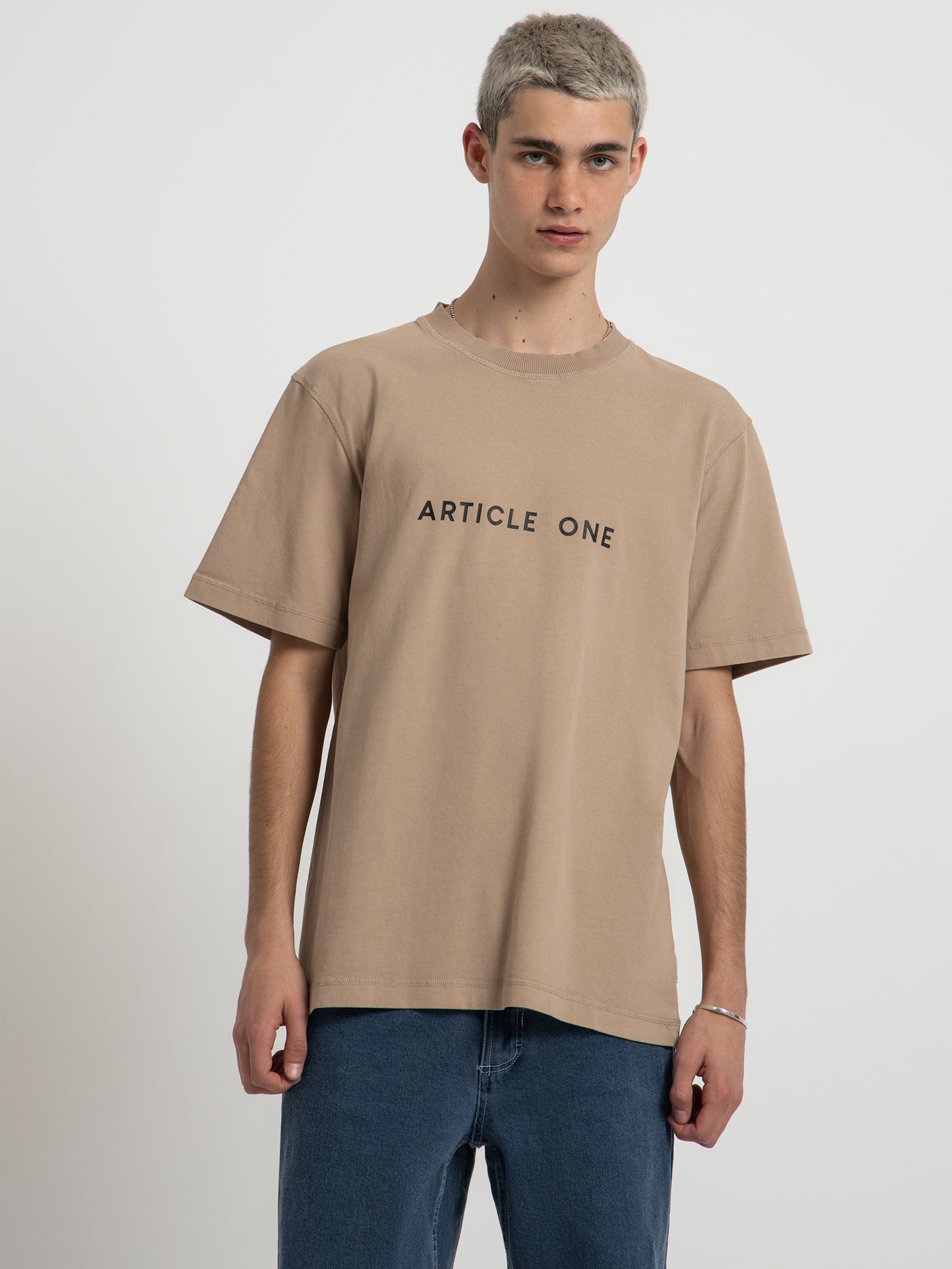 Classic Logo T-Shirt in Washed Stone